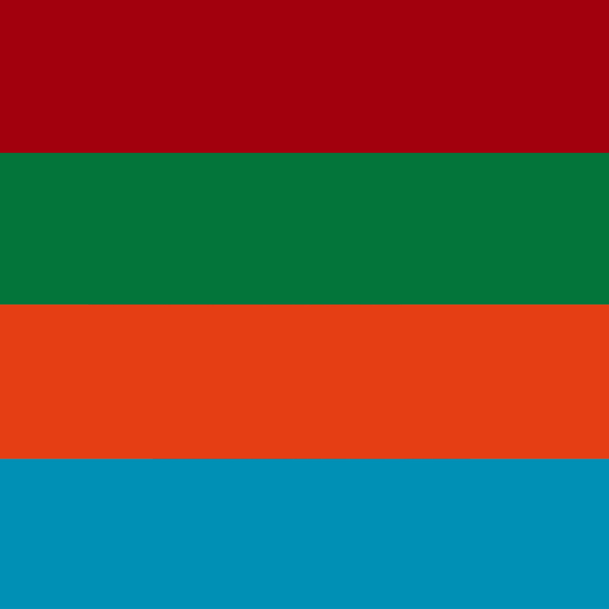 Bärenfuß Businesssocken 8 Paar Herren Damen Premium Business Socken atmungsaktive Baumwolle (ohne spürbare Naht oder Fusseln, plastikfreie Verpackung)