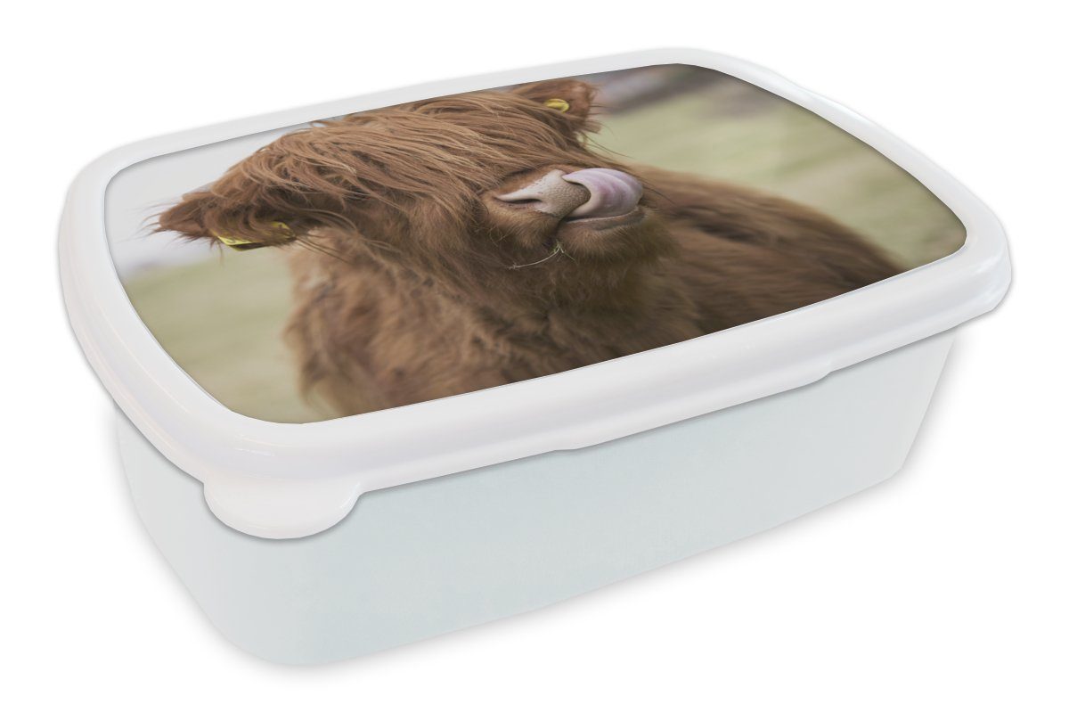 MuchoWow Lunchbox Schottischer Highlander - Braun - Kuh, Kunststoff, (2-tlg), Brotbox für Kinder und Erwachsene, Brotdose, für Jungs und Mädchen weiß