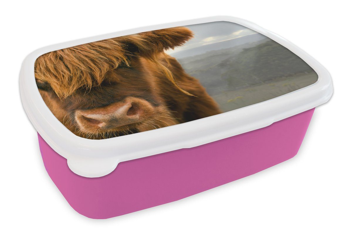 MuchoWow Lunchbox Schottischer Highlander - Natur - Porträt, Kunststoff, (2-tlg), Brotbox für Erwachsene, Brotdose Kinder, Snackbox, Mädchen, Kunststoff rosa