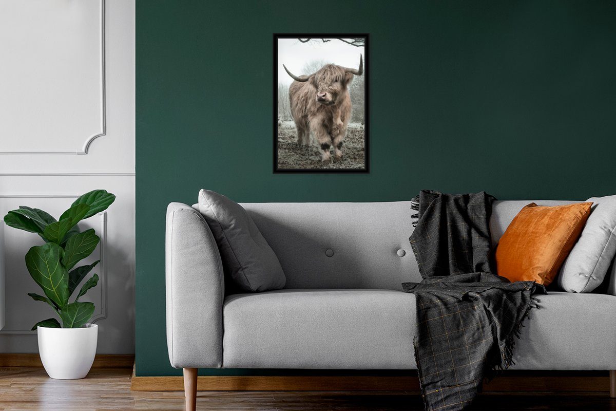 Wanddeko, Kuh Wandposter, Natur, - Poster St), Gerahmtes Nebel Highlander Tiere - - Schwarzem - Poster, Schottischer Wald (1 Bilderrahmen - Bilder, MuchoWow