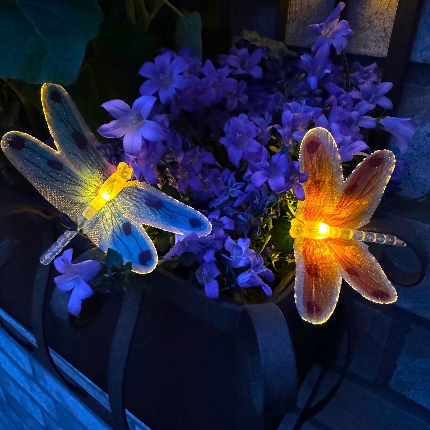 Online-Fuchs LED-Lichterkette Outdoor Solar mit 15 günstig online kaufen