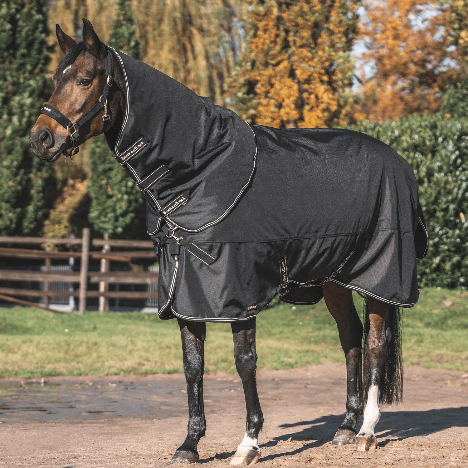 Back on track Pferde-Thermodecke Back on Track Obsidian 150g Turnout rug +