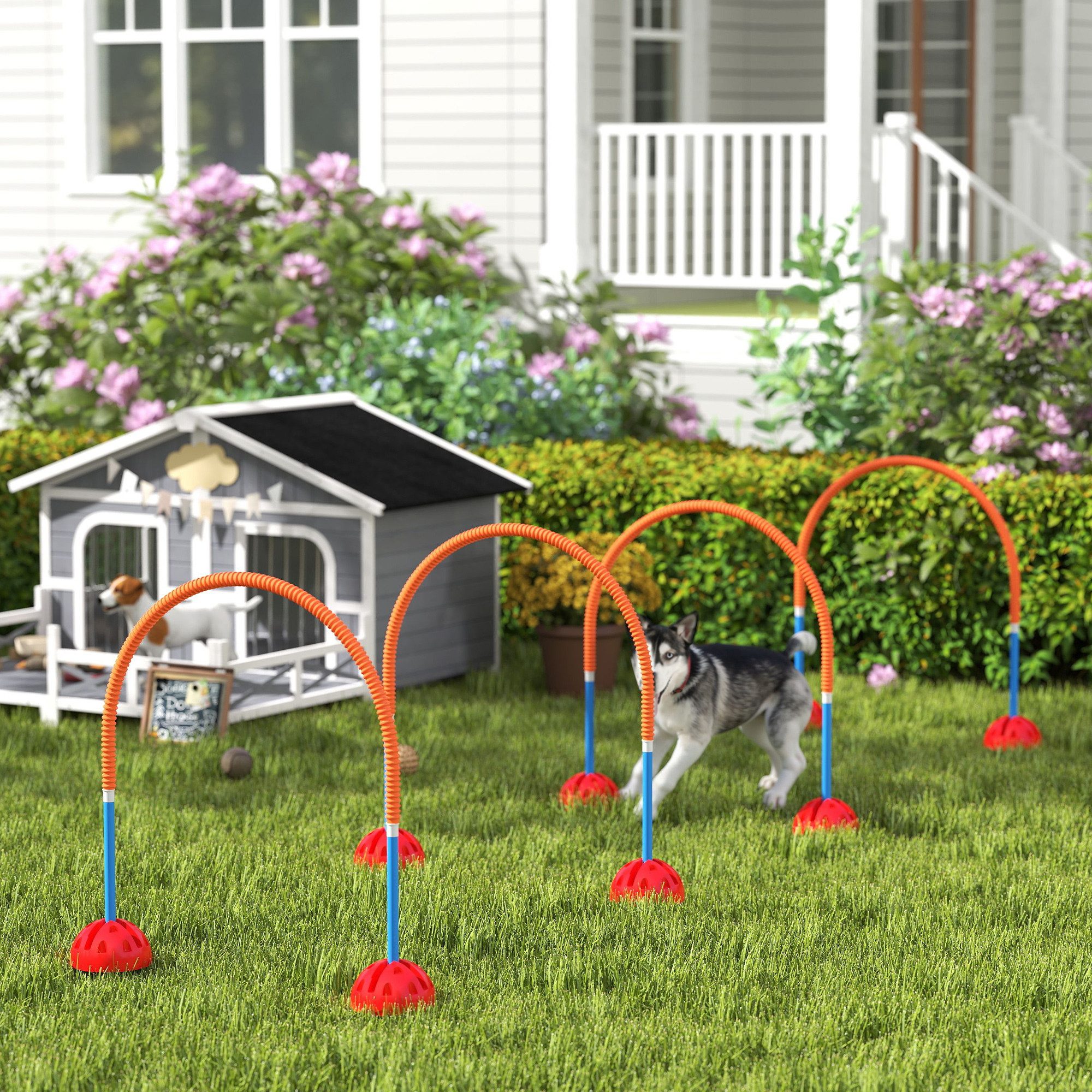 PawHut Agility-Hürde 4-teilig, befüllbar, Kunststoff, Hunde-Agility-Set (4-tlg) mit verstellbar Agilitätstüren, Tragetasche, für Spiele, Training