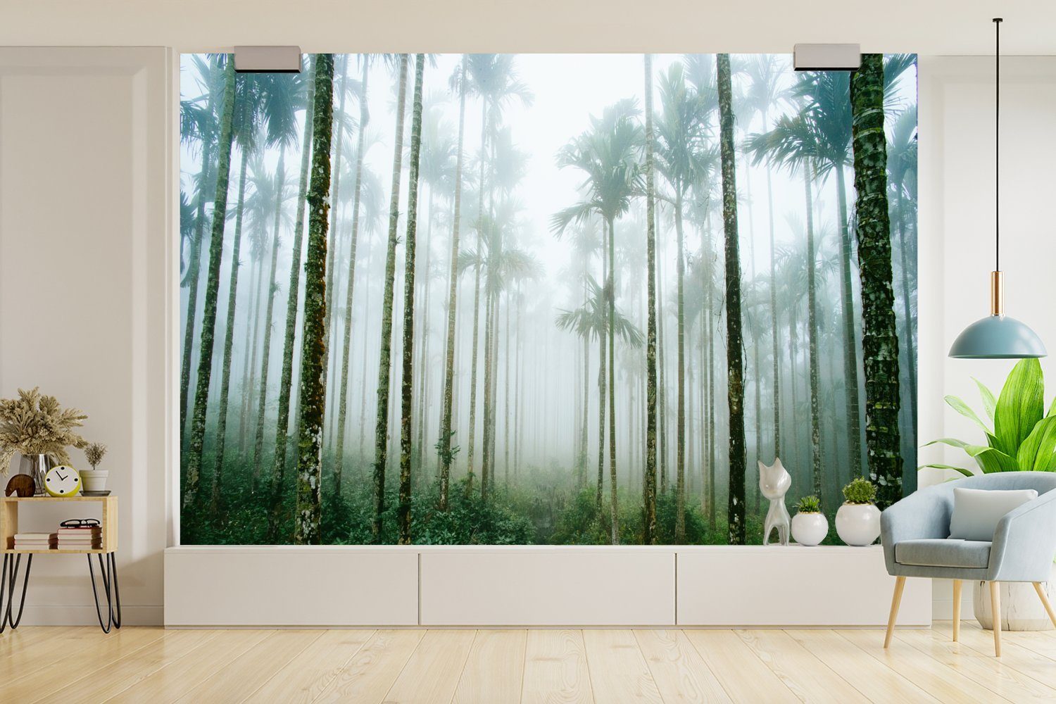 (6 Fototapete Baumstämme Vinyl für Regenwald Kinderzimmer, im Tapete MuchoWow Taiwan, nebligen Schlafzimmer, Hohe Wallpaper Wohnzimmer, von Matt, bedruckt, St),