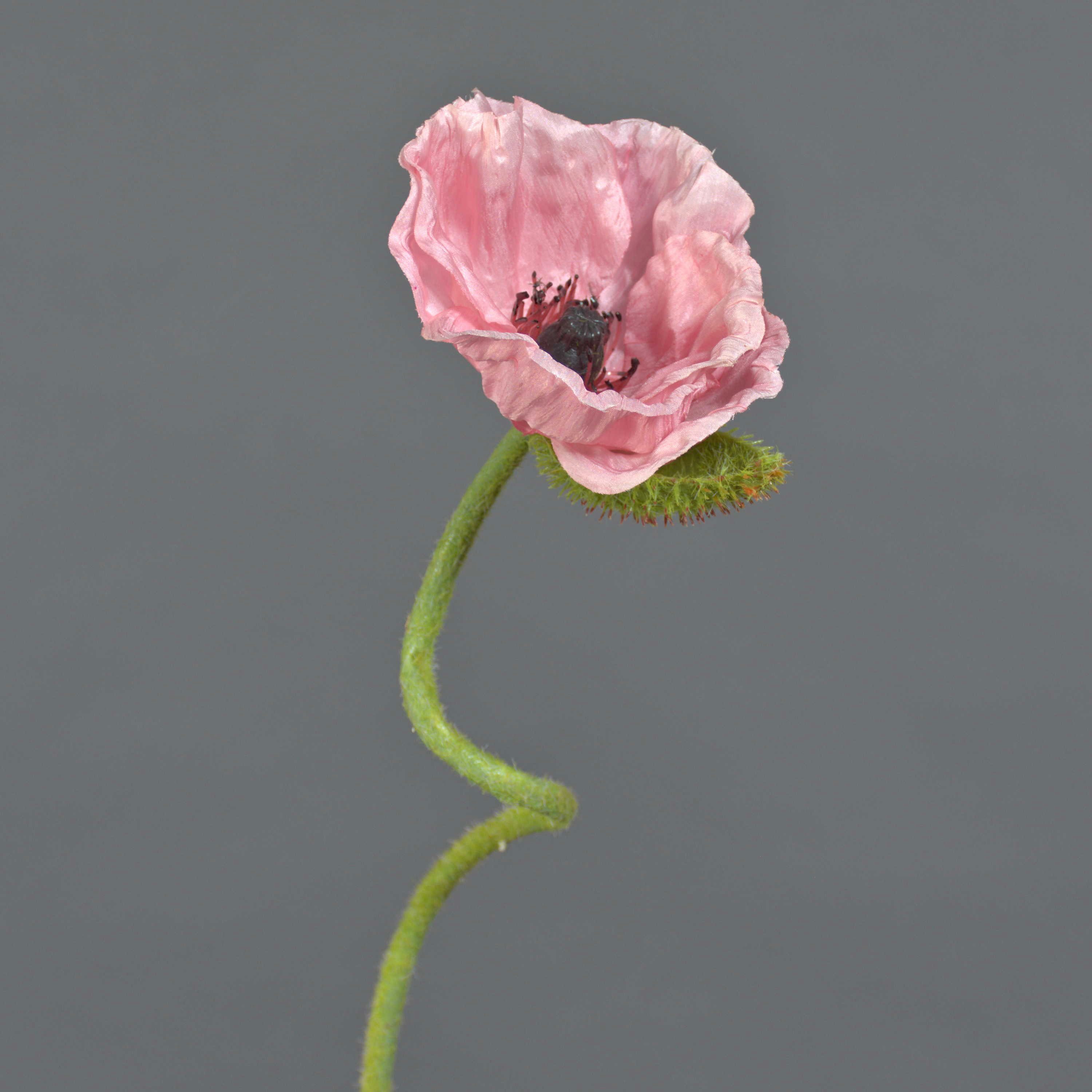 Kunstblume Mohnblume ANKANG, rosa, 70 cm Mohnblume, artplants, Höhe 70.0 cm