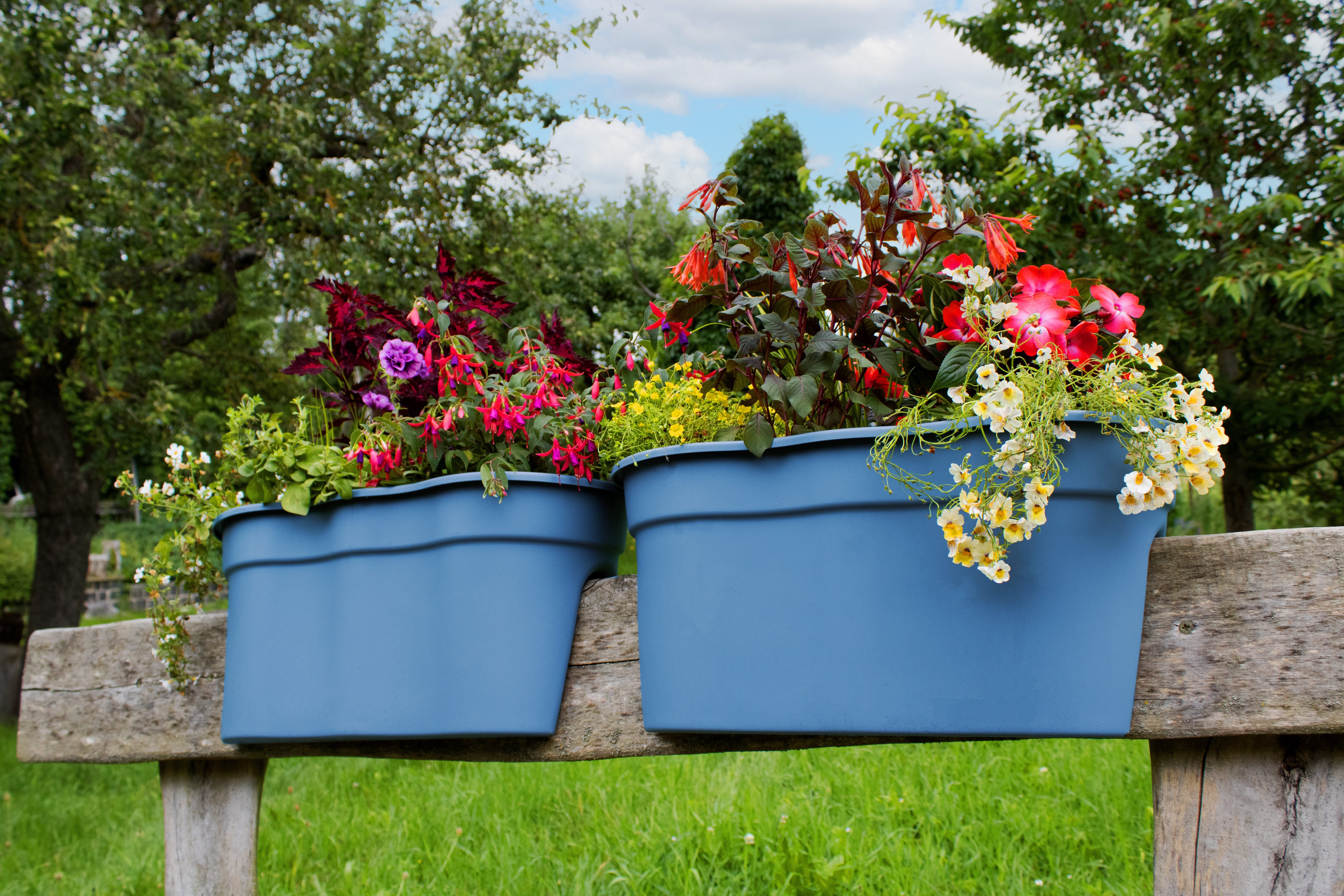KHW Balkonkasten Flowerclip XXL (Set, 2 St), BxTxH: 57,5x27,7x27 cm