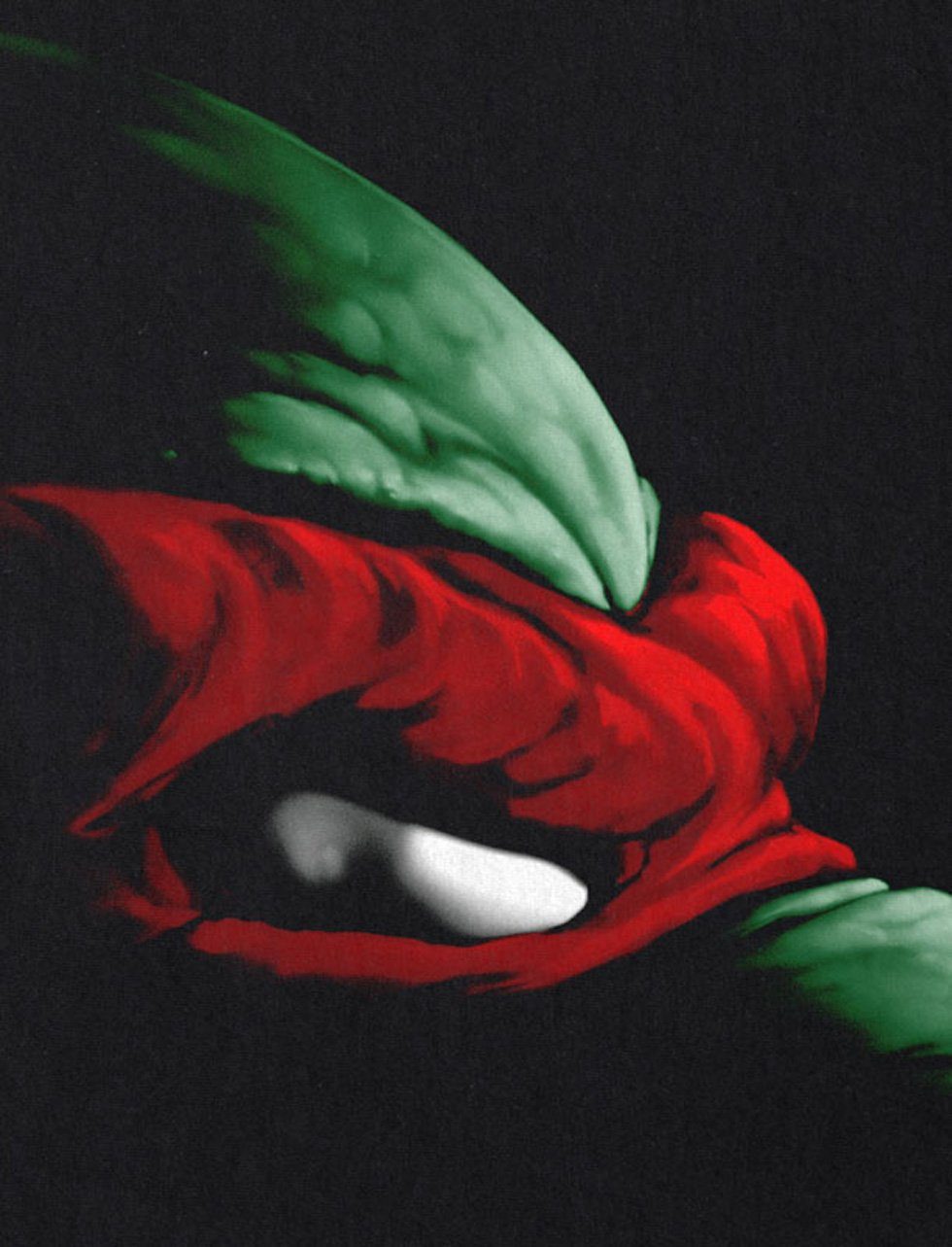 style3 T-Shirt Raphael Turtles teenage schildkröte mutant ninja hero turtle günstig online kaufen