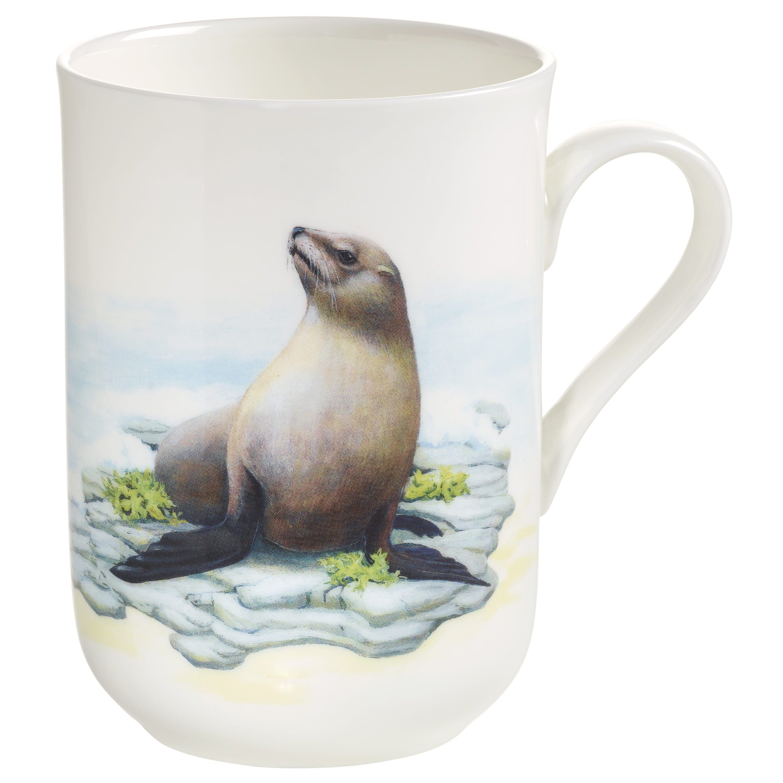 Maxwell & Williams China the World, of Porzellan Animals Bone Tasse