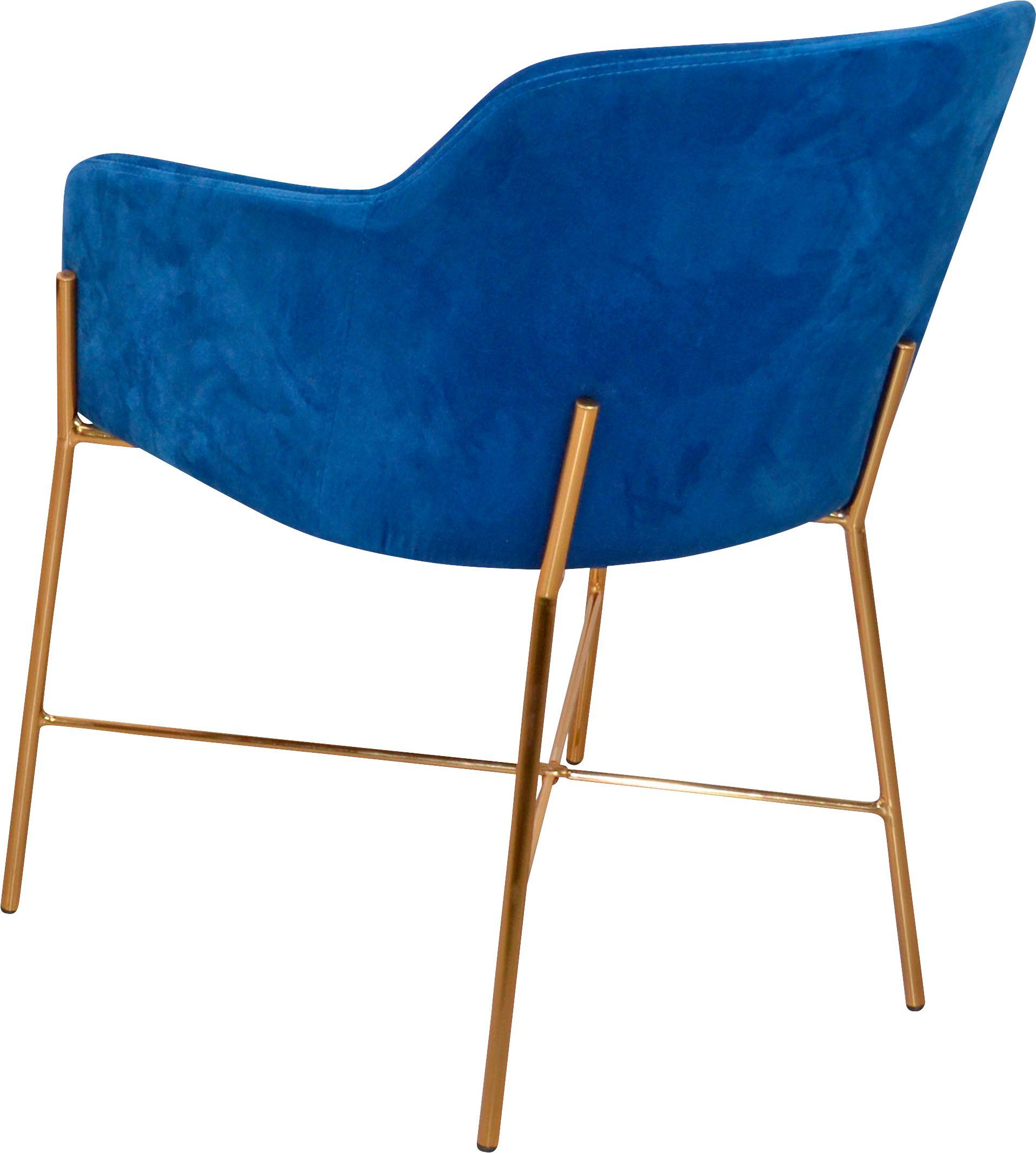 INOSIGN Polsterstuhl (Set, 2 St), blau Polstersessel | Stahlrohr, blau goldfarben, aus mit Samtbezug Gestell