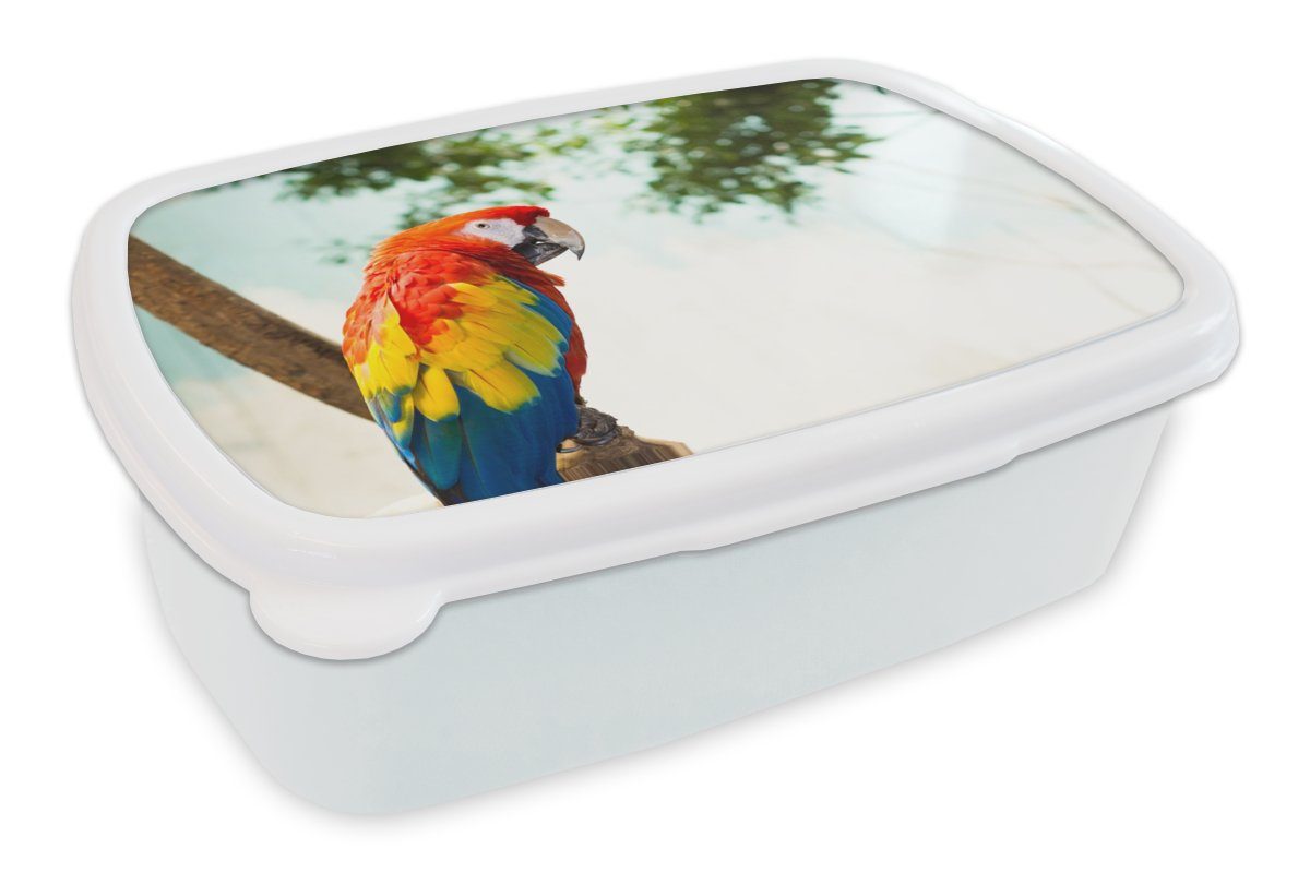 MuchoWow Lunchbox Papagei - Vogel - Regenbogen - Tropisch, Kunststoff, (2-tlg), Brotbox für Kinder und Erwachsene, Brotdose, für Jungs und Mädchen weiß | Lunchboxen