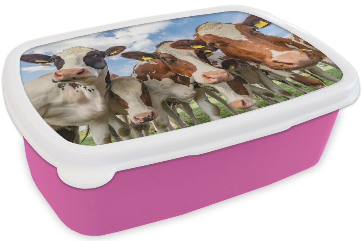 Natur, Tiere MuchoWow - Brotdose Brotbox Kunststoff Kühe rosa Lunchbox (2-tlg), Kunststoff, Mädchen, - Kinder, Snackbox, Wiese Erwachsene, für -