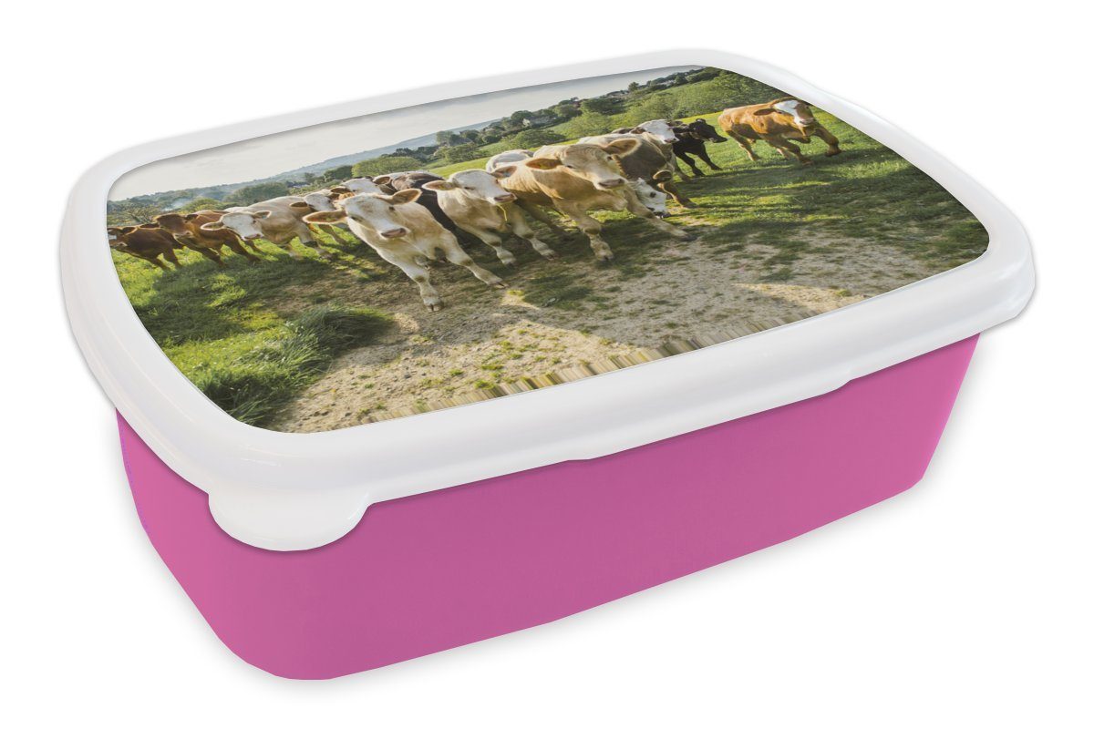 MuchoWow Lunchbox Bauernhof - Kühe - Gras, Kunststoff, (2-tlg), Brotbox für Erwachsene, Brotdose Kinder, Snackbox, Mädchen, Kunststoff rosa