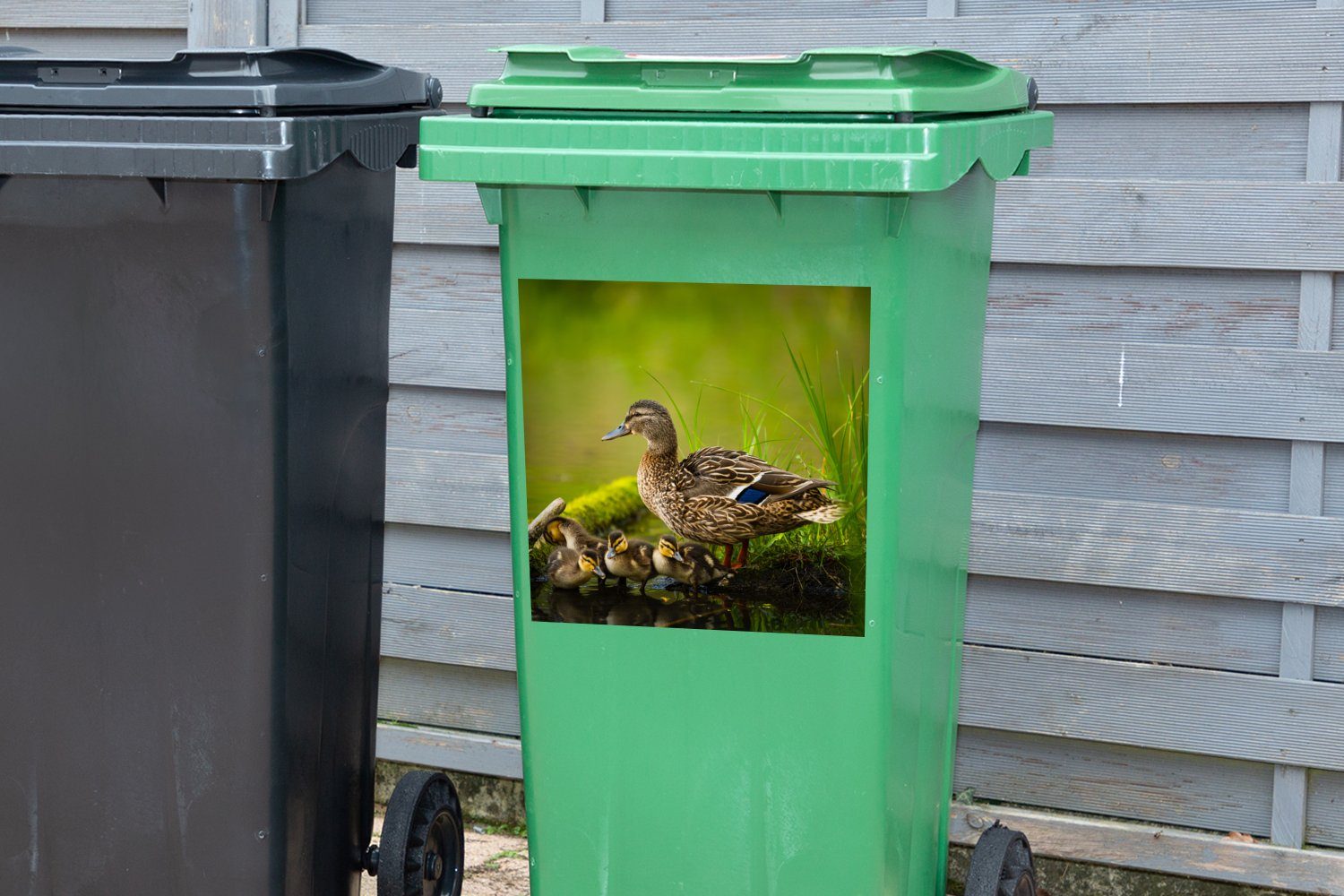 Abfalbehälter - Moos - Mülltonne, Container, - Ente Zweig Wandsticker Sticker, St), MuchoWow Vögel (1 Mülleimer-aufkleber, Wasser -