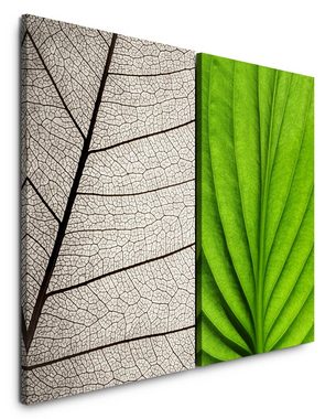 Sinus Art Leinwandbild 2 Bilder je 60x90cm Grünes Blatt Blattadern Pflanze Transparent Leichtigkeit Sanft Beruhigend