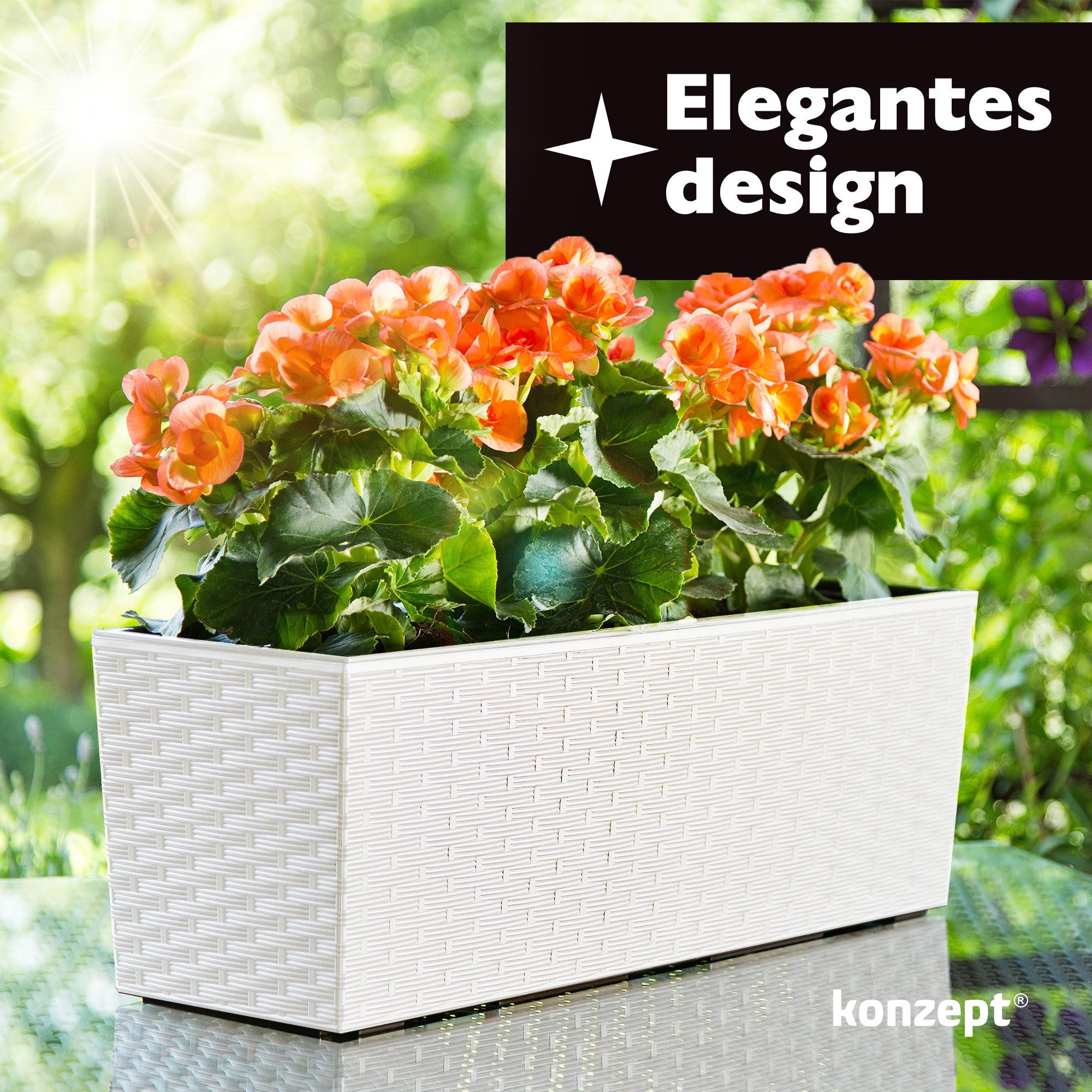 KONZEPT Balkonkasten Hochwertige Blumenkasten Rattan-Optikin, rechteckig günstig online kaufen