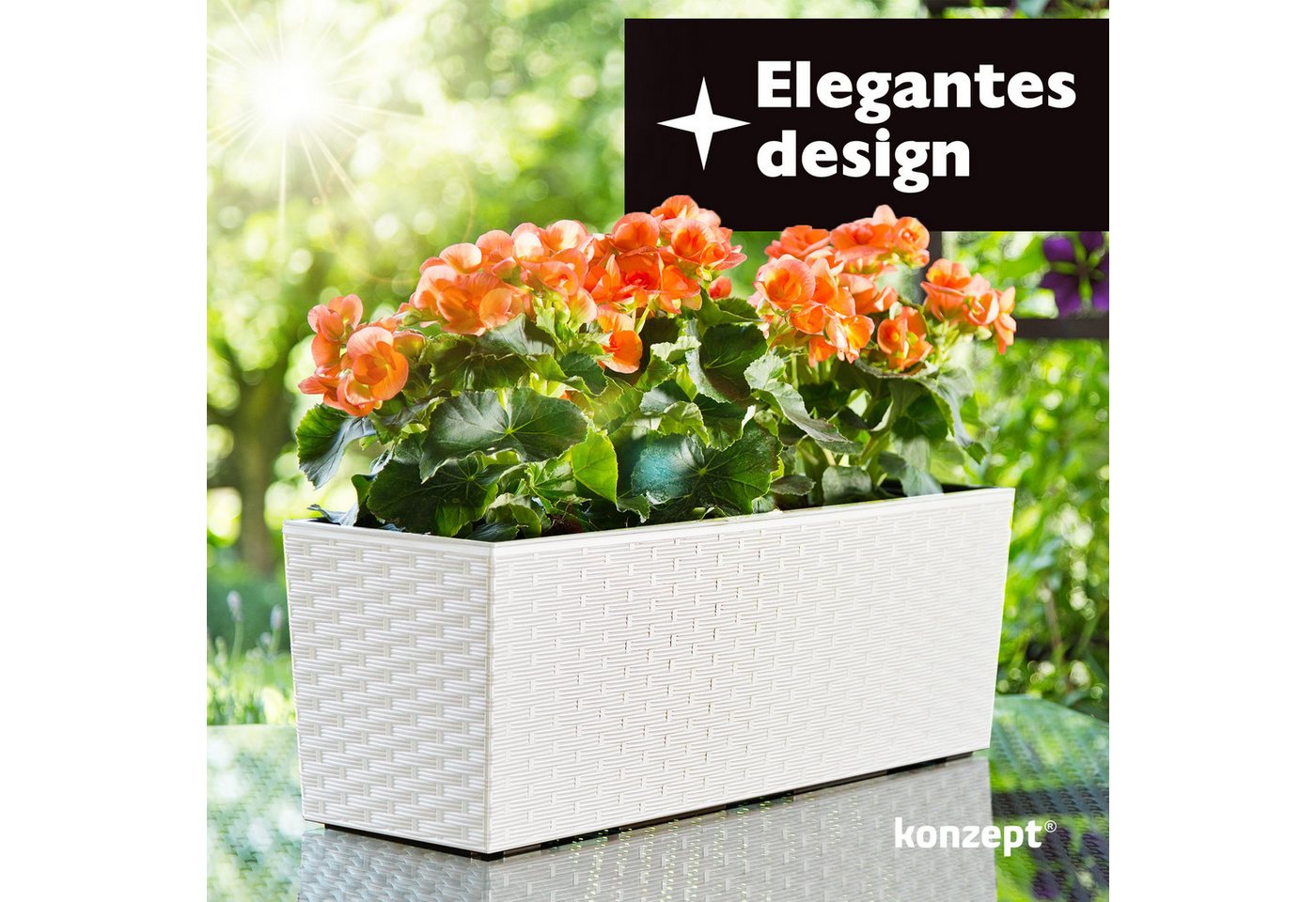 Thumbnail - KONZEPT Balkonkasten Hochwertige Blumenkasten Rattan-Optikin, rechteckig 56 x 19 cm, Balkonkasten ideal fur Balkon, Terr...