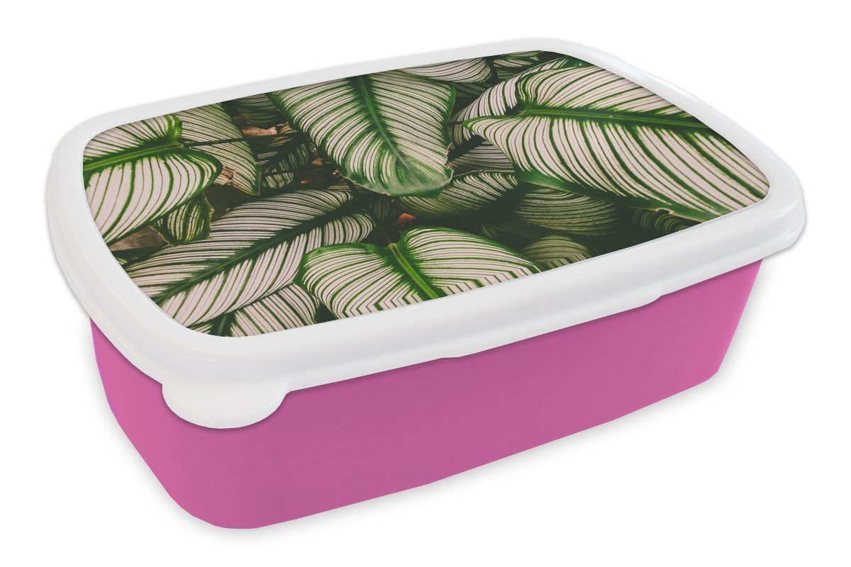 MuchoWow Lunchbox Blätter - Natur - Grün, Kunststoff, (2-tlg), Brotbox für Erwachsene, Brotdose Kinder, Snackbox, Mädchen, Kunststoff rosa