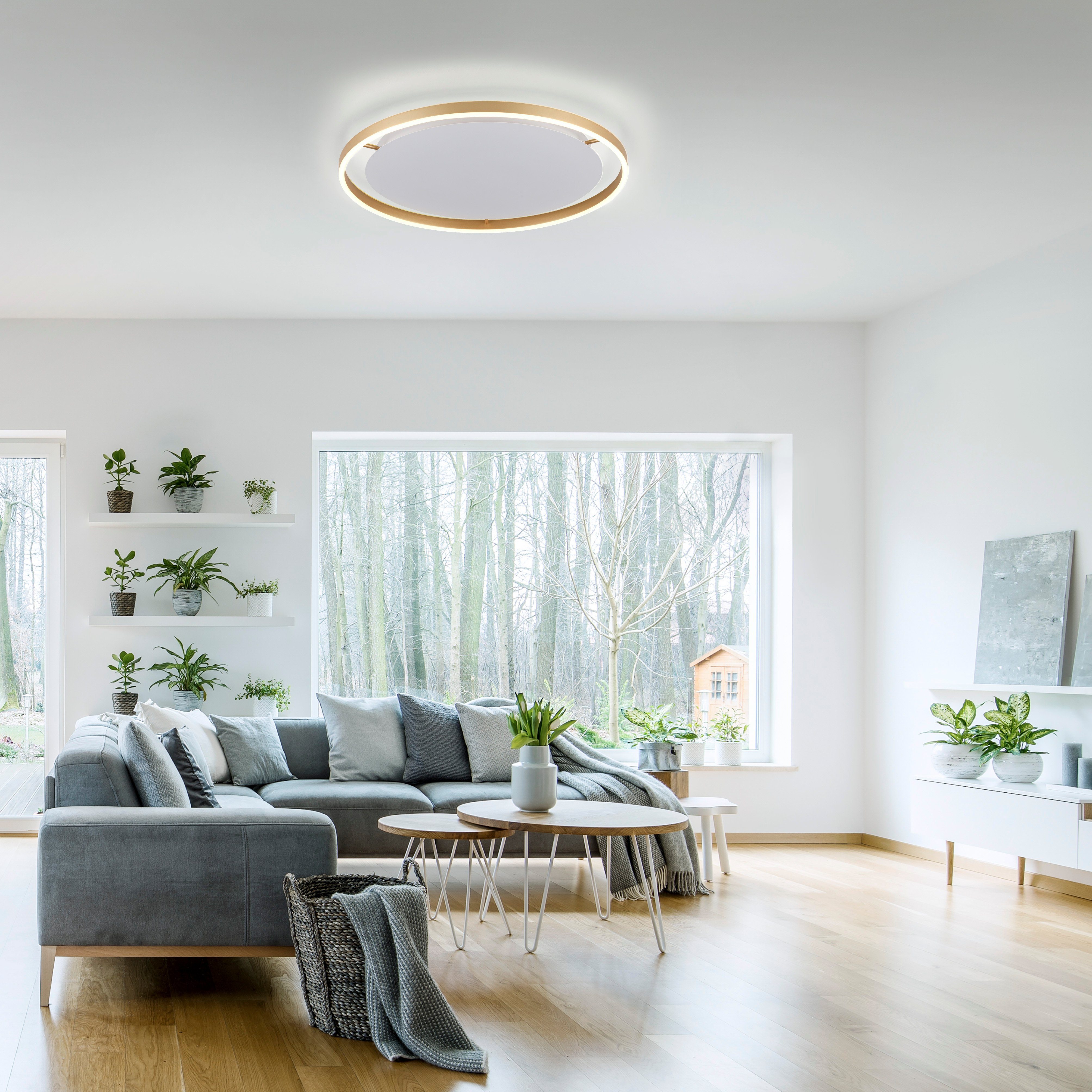 Leuchten Direkt Ø58,5cm LED Warmweiß, LED, fest integriert, kreisförmig modernen im Switchmo, RITUS, Deckenlampe Deckenleuchte LED Design, dimmbar