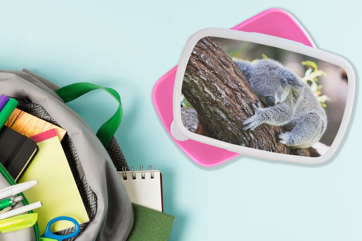 MuchoWow Lunchbox Koala - rosa Snackbox, Jungen - (2-tlg), Brotdose Erwachsene, Kuscheltier Mädchen, Mädchen, für - - Kofferraum Kunststoff, Kinder, Kunststoff Brotbox