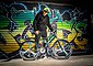 KS Cycling Mountainbike »Bliss«, 21 Gang Shimano Tourney Schaltwerk, Kettenschaltung, Bild 22