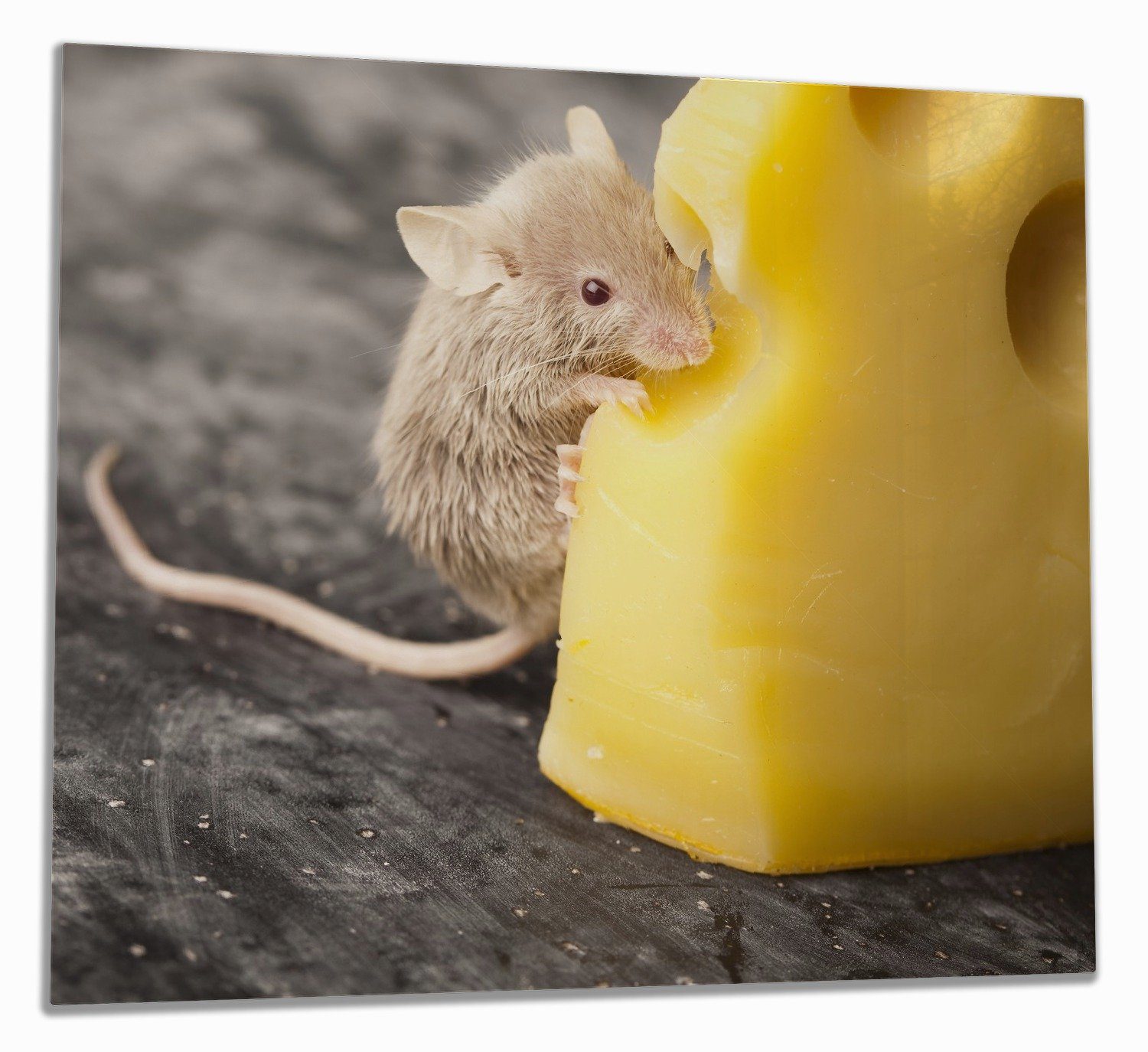 Wallario Herd-Abdeckplatte Süße Maus knabbert an einem Käse in der Küche, ESG-Sicherheitsglas, (Glasplatte, 1 tlg., inkl. 5mm Noppen), verschiedene Größen