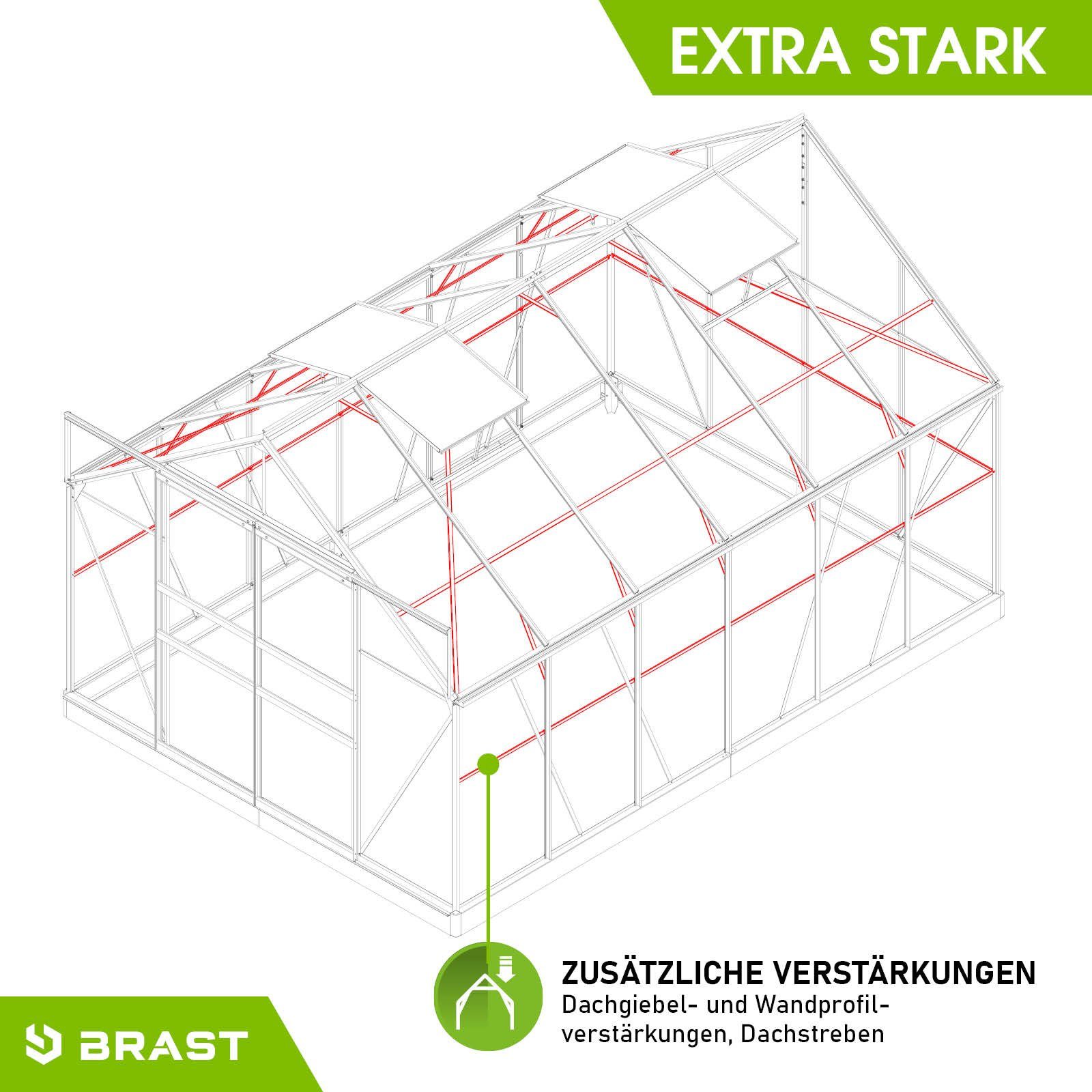 BRAST Gewächshaus ALU mit Fundament rostfrei 380x250x235cmTÜV geprüft, BxTxH: 250 x 380 x 235 cm, wetterfestes hochwertiges Aluminium, Temperaturbeständig, Wärmedämmend, Lichtbrechend & UV-stabilisiert