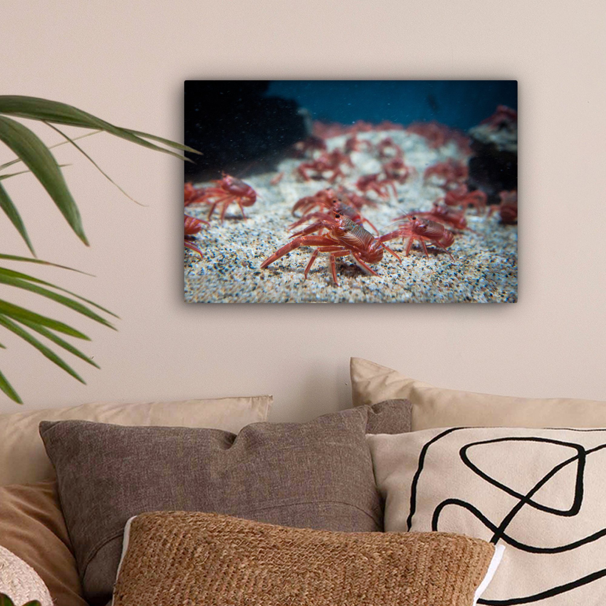 Wandbild Wasser, Aufhängefertig, Leinwandbild cm (1 unter Wanddeko, St), Rote OneMillionCanvasses® Thunfischhummer Leinwandbilder, 30x20