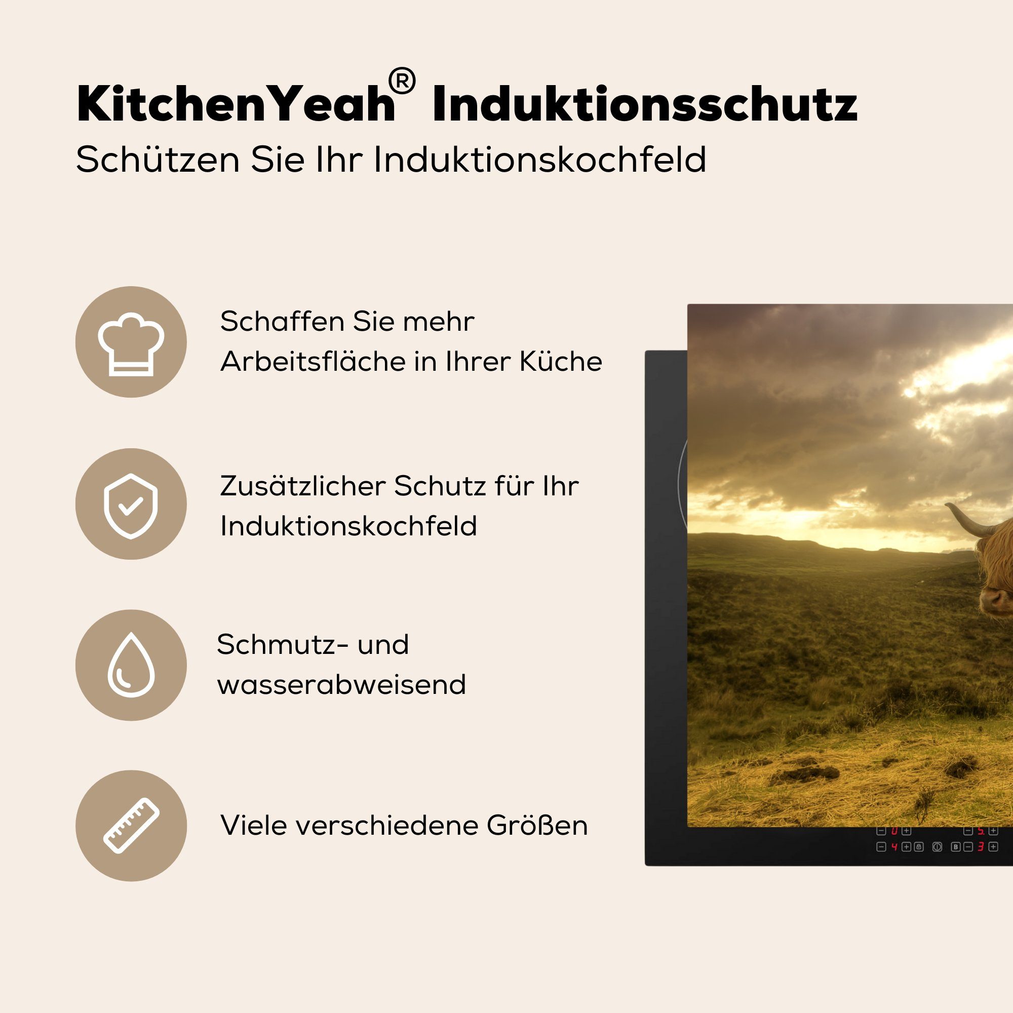 Induktionskochfeld für - Landschaft, (1 die Vinyl, Ceranfeldabdeckung MuchoWow 81x52 Highlander Schutz cm, Herdblende-/Abdeckplatte küche, Schottische tlg),