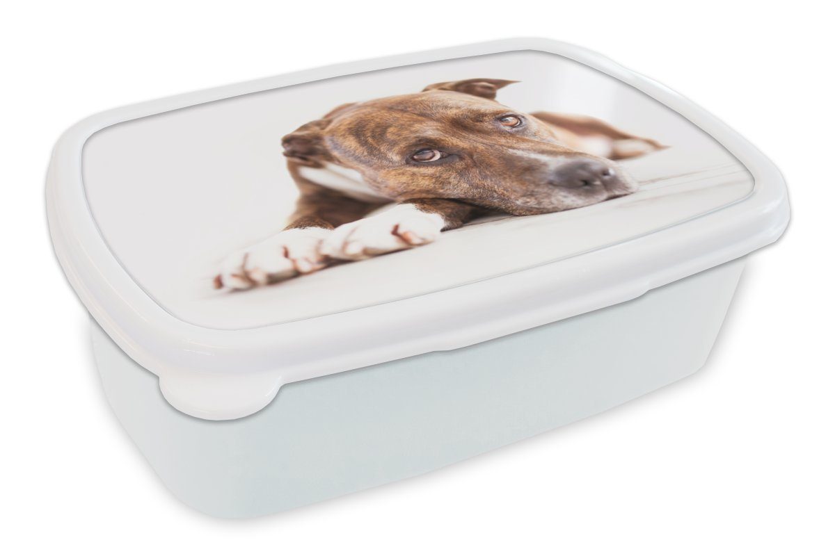 MuchoWow Lunchbox Liegender Hund Fotodruck, Kunststoff, (2-tlg), Brotbox für Kinder und Erwachsene, Brotdose, für Jungs und Mädchen weiß
