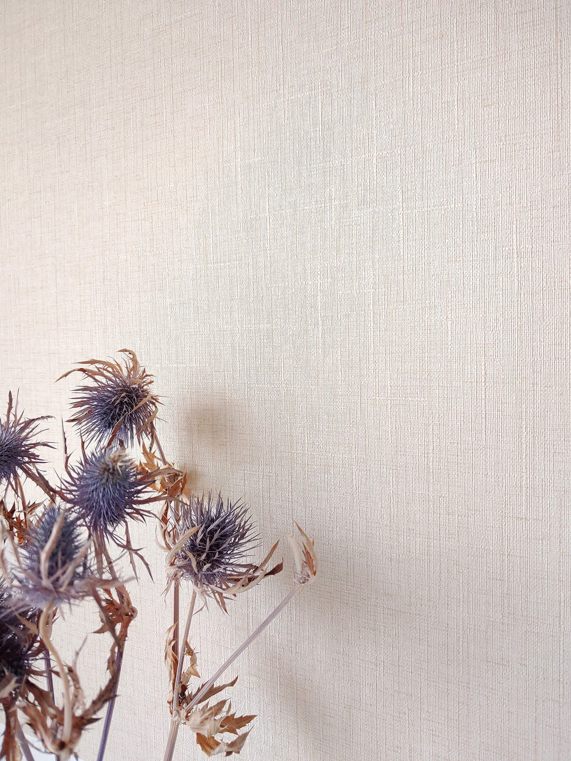 Newroom Vliestapete, Beige Tapete Uni Einfarbig günstig online kaufen