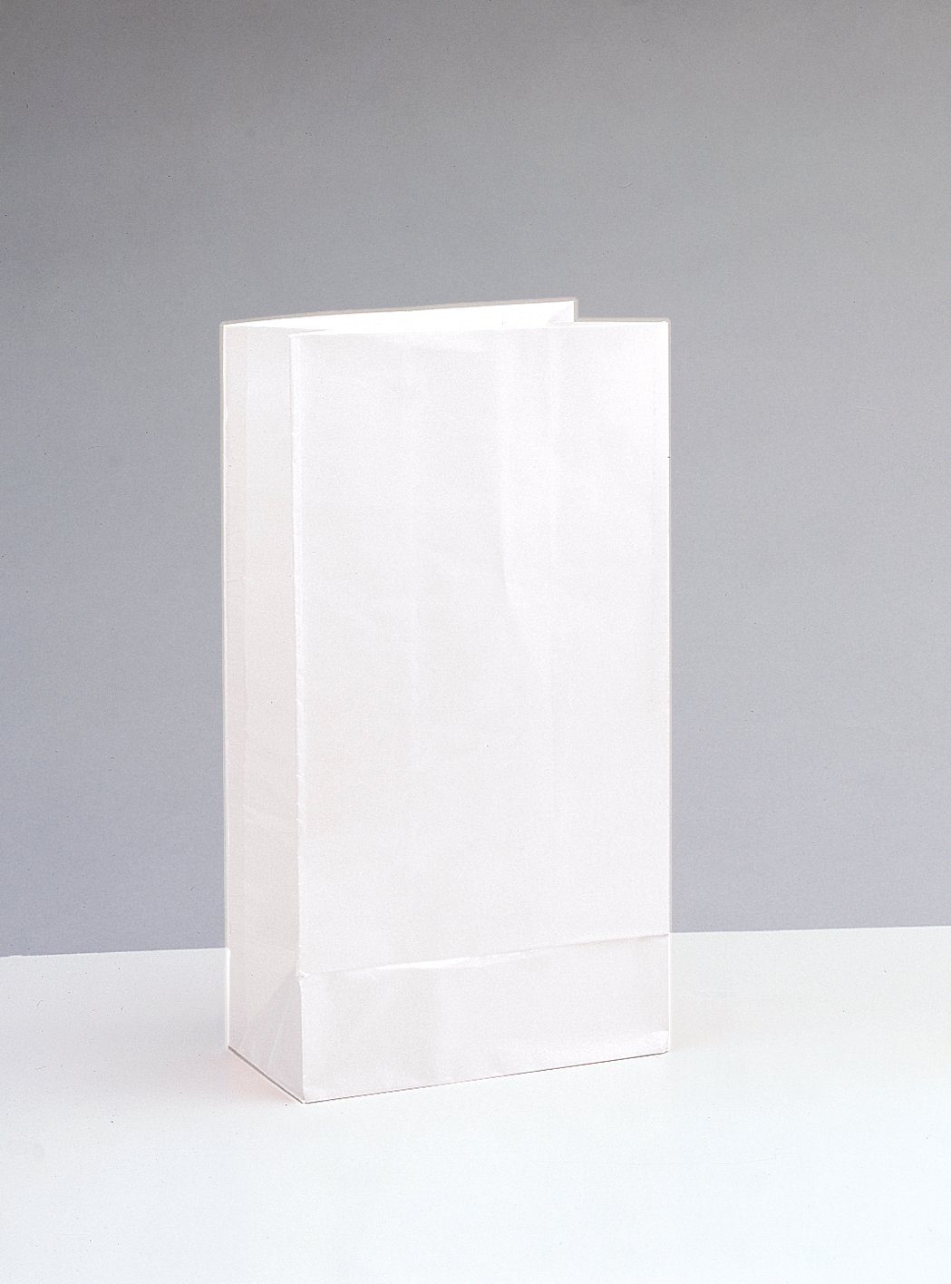 Partystrolche Tragetasche Papiertüte Geschenktüte 10 bzw. 12 Stück für kleine Geschenke