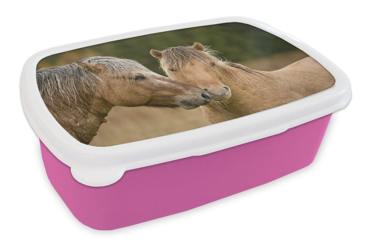 Nahaufnahme Kinder, kuschelnden Kunststoff Brotbox von Snackbox, MuchoWow Erwachsene, für Kunststoff, rosa Brotdose Fjordpferden, Lunchbox Mädchen, (2-tlg),