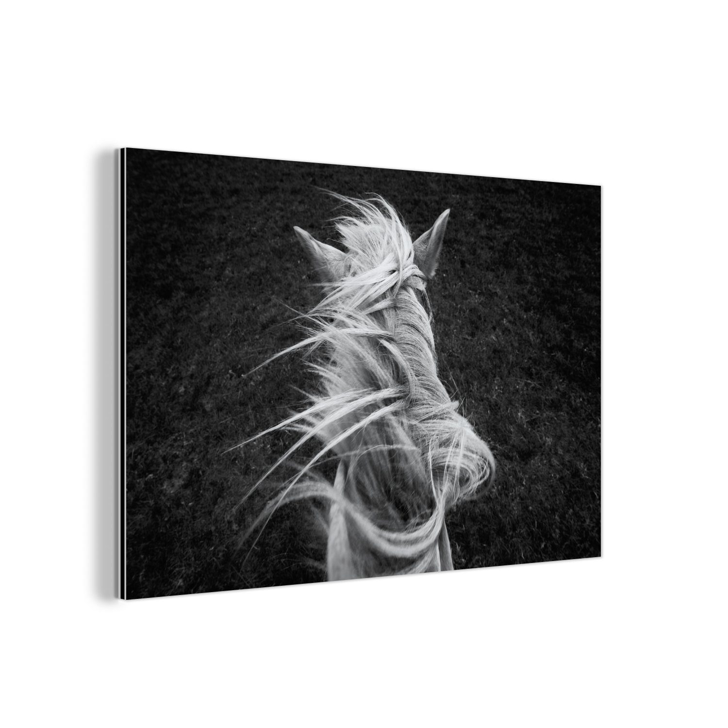 MuchoWow Metallbild Wanddekoration Metall Metallbild Wandkunst Pferd - Mähne - Schwarz -, (1 St)
