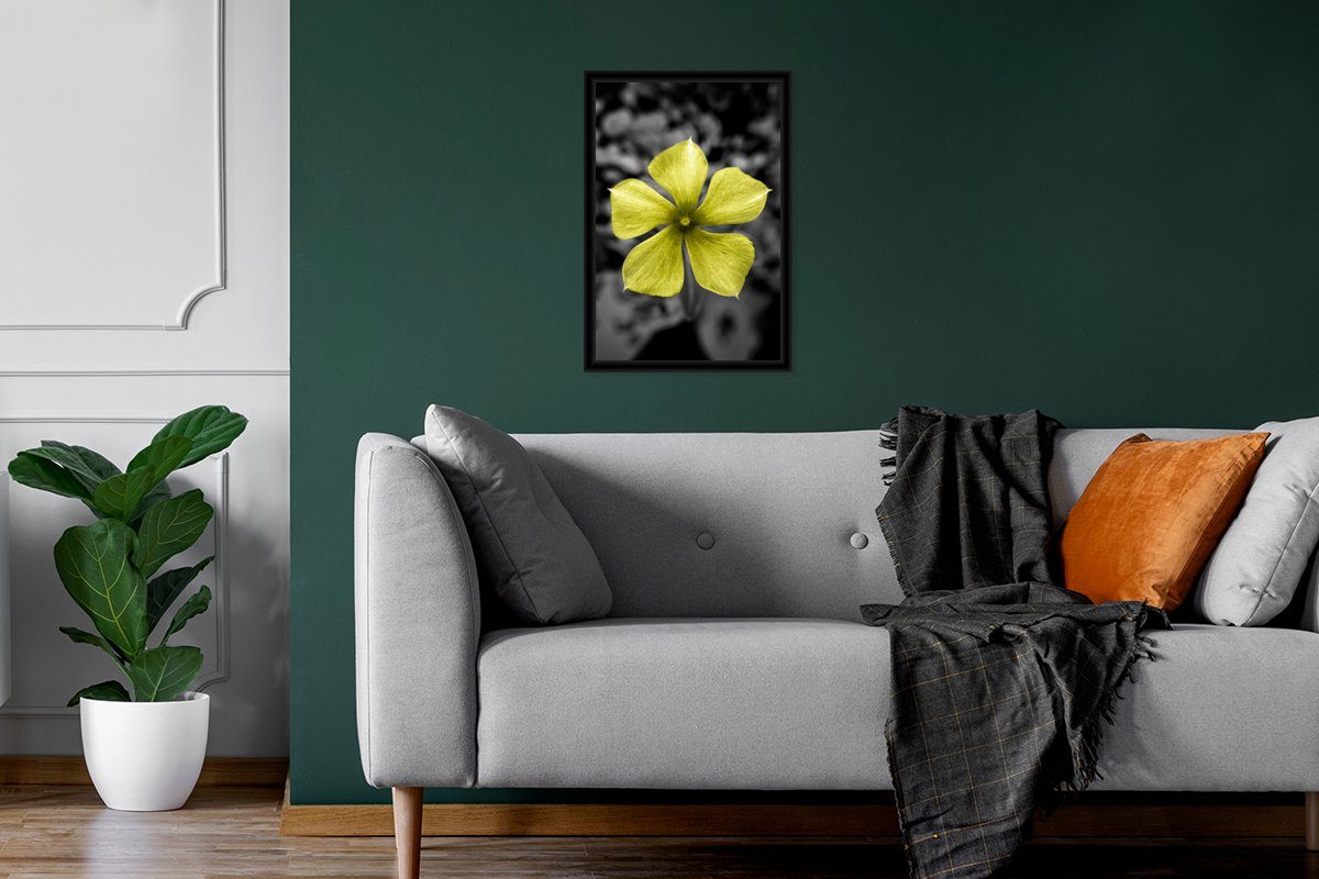 Wanddeko, - Gerahmtes Blumen - Gelb Wandposter, Poster St), Schwarz (1 Weiß, MuchoWow - Bilderrahmen Poster, Bilder, Schwarzem