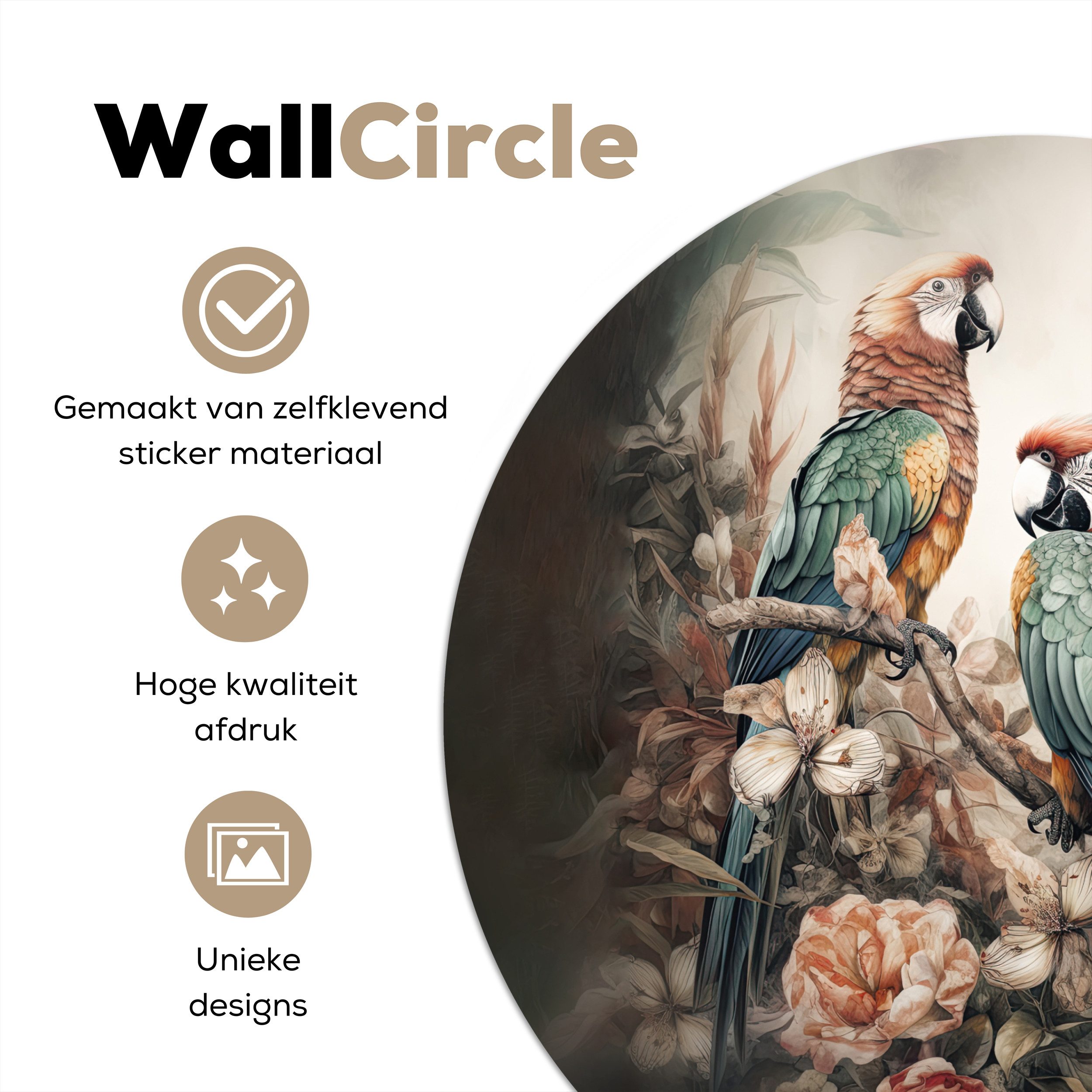 MuchoWow Wandsticker Papageien - Vögel - günstig online kaufen