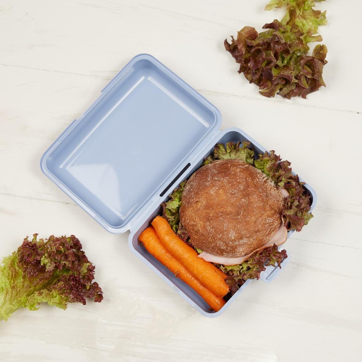 elasto Lunchbox "School-Box" 1500 ml Brotdose Made in Germany Vorratsdose To Go