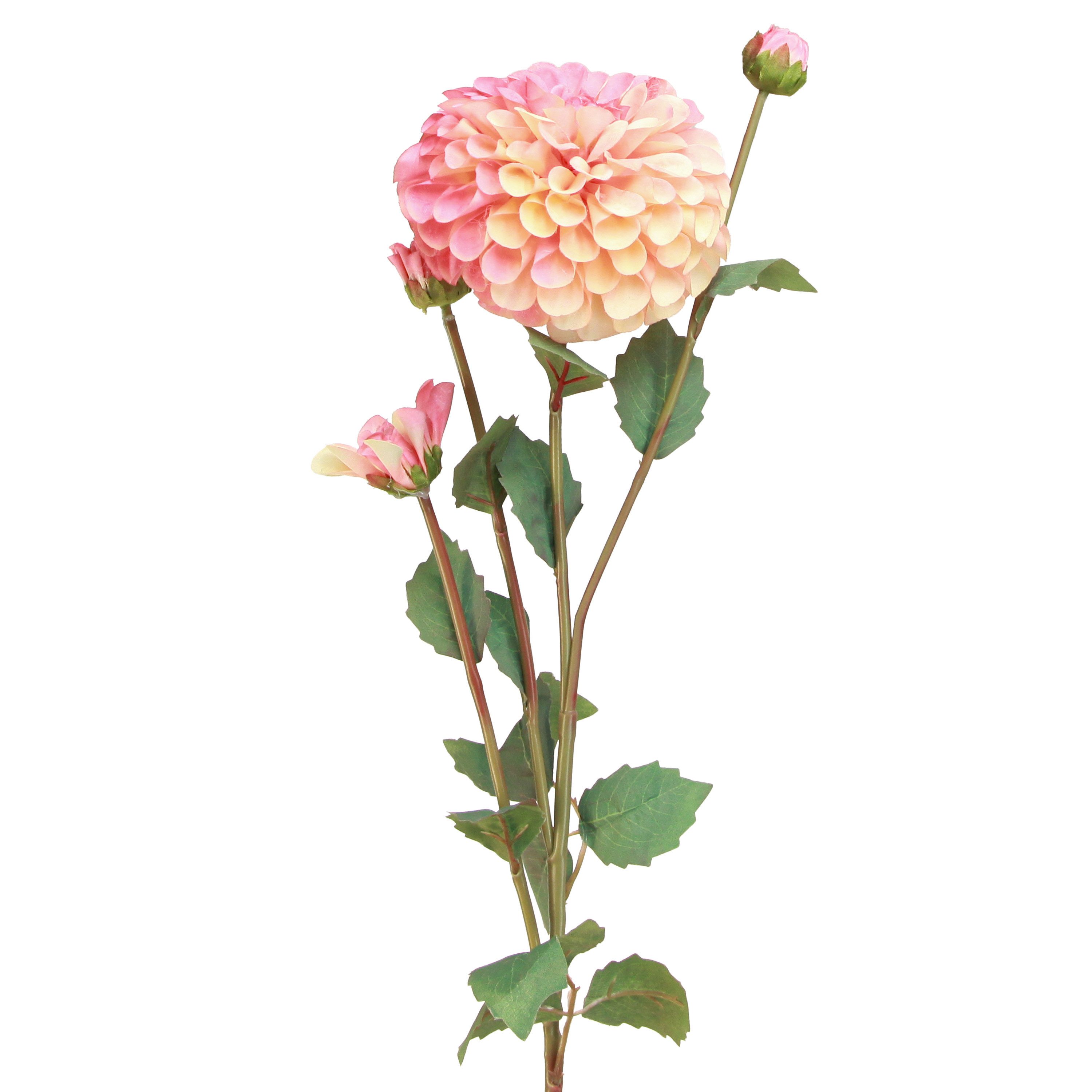 Kunstblume Künstliche Dahlien Blumen Deko Pfirsich Rosa Ø10cm L80cm 2er, 2 Stück, Viana, Höhe 7 cm