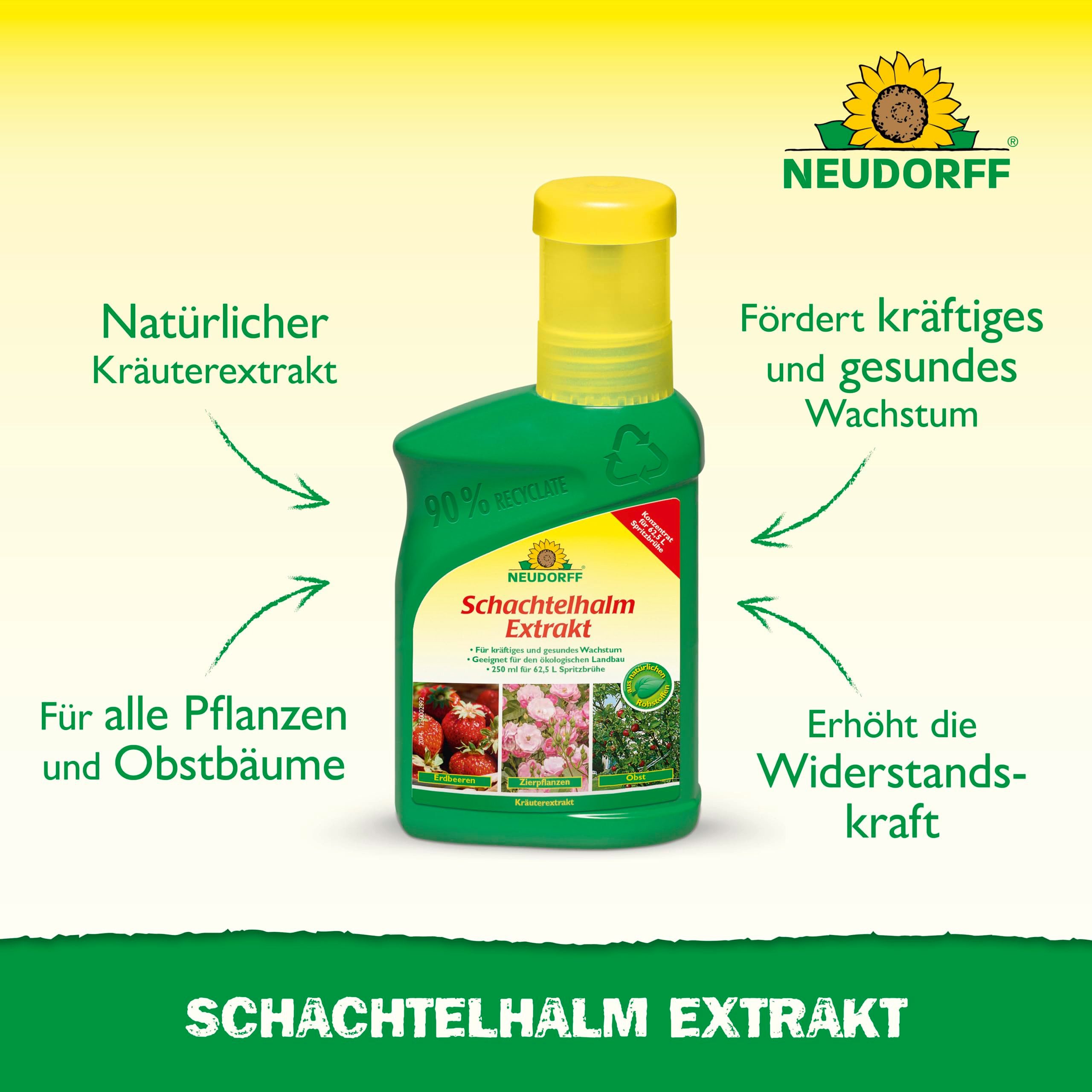 Thumbnail - Neudorff Pflanzenstärkungsmittel Schachtelhalm Extrakt 250 ml für 62L, Natürlicher Kräuterextrakt für kräftiges und gesu...