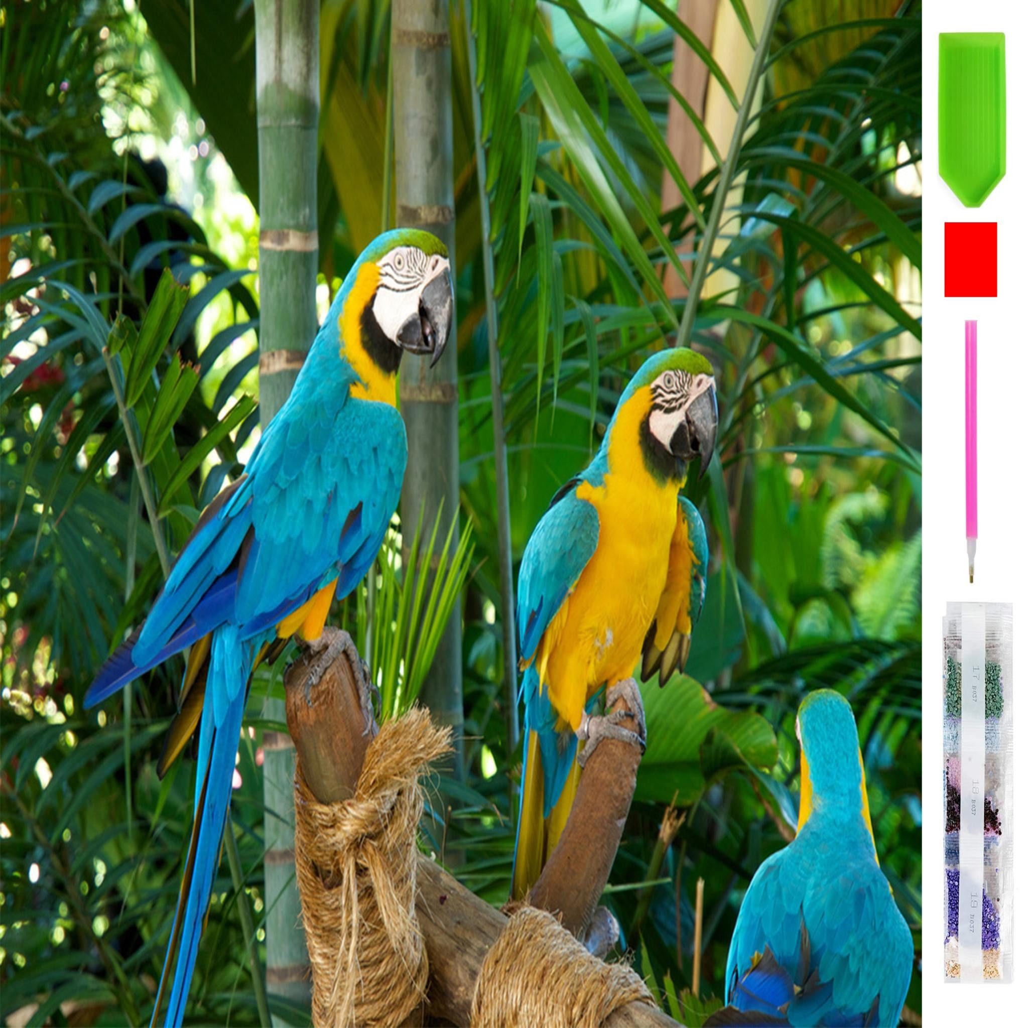 LA CUTE Malen nach Zahlen 5d Diamond Painting Papageien Malen nach Zahlen 3 günstig online kaufen