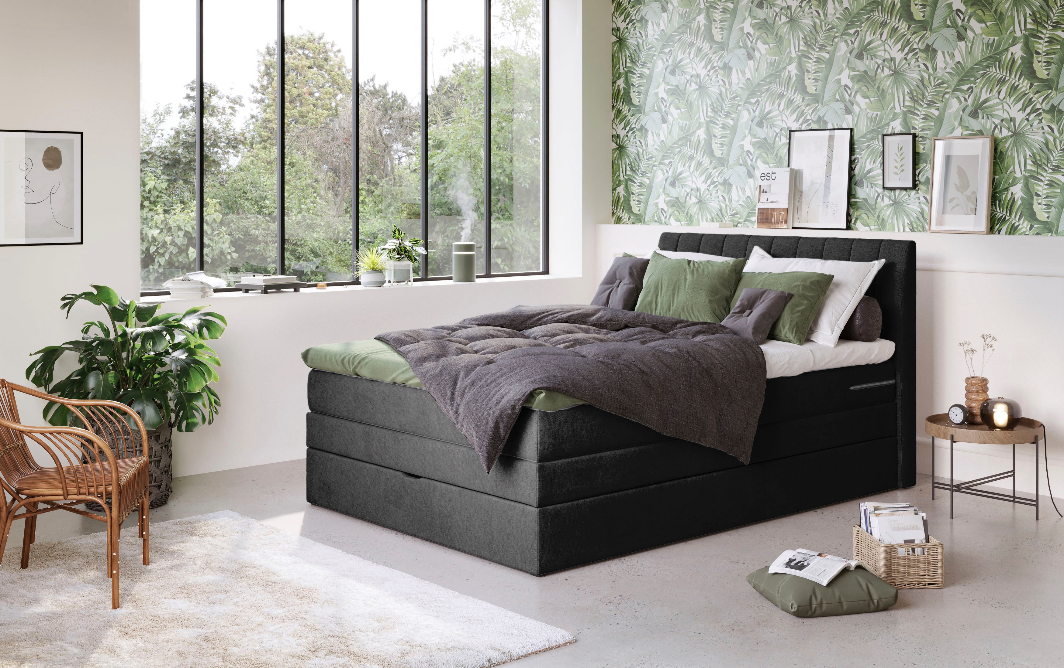COTTA Boxspringbett Shark inkl. Bettkasten und Topper, erhältlich in den Breiten 140x200cm, 160x200cm und 180x200cm