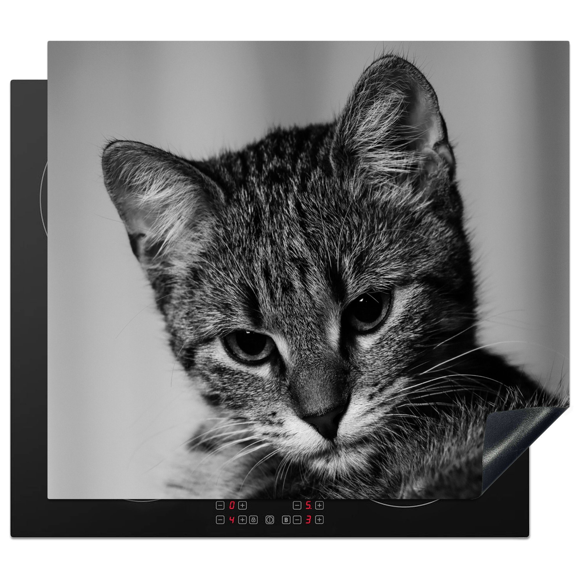 MuchoWow Herdblende-/Abdeckplatte Katze - Porträt - Schwarz - Weiß, Vinyl, (1 tlg), 60x52 cm, Mobile Arbeitsfläche nutzbar, Ceranfeldabdeckung