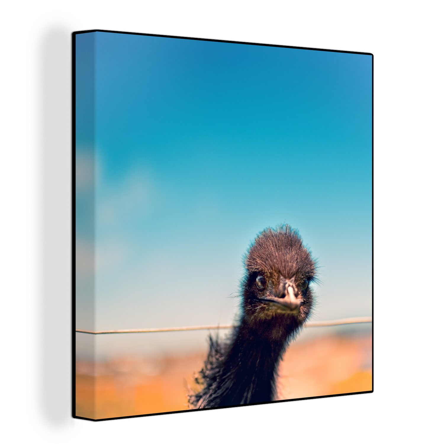 OneMillionCanvasses® Leinwandbild Porträt eines Emus mit hellblauem Hintergrund, (1 St), Leinwand Bilder für Wohnzimmer Schlafzimmer