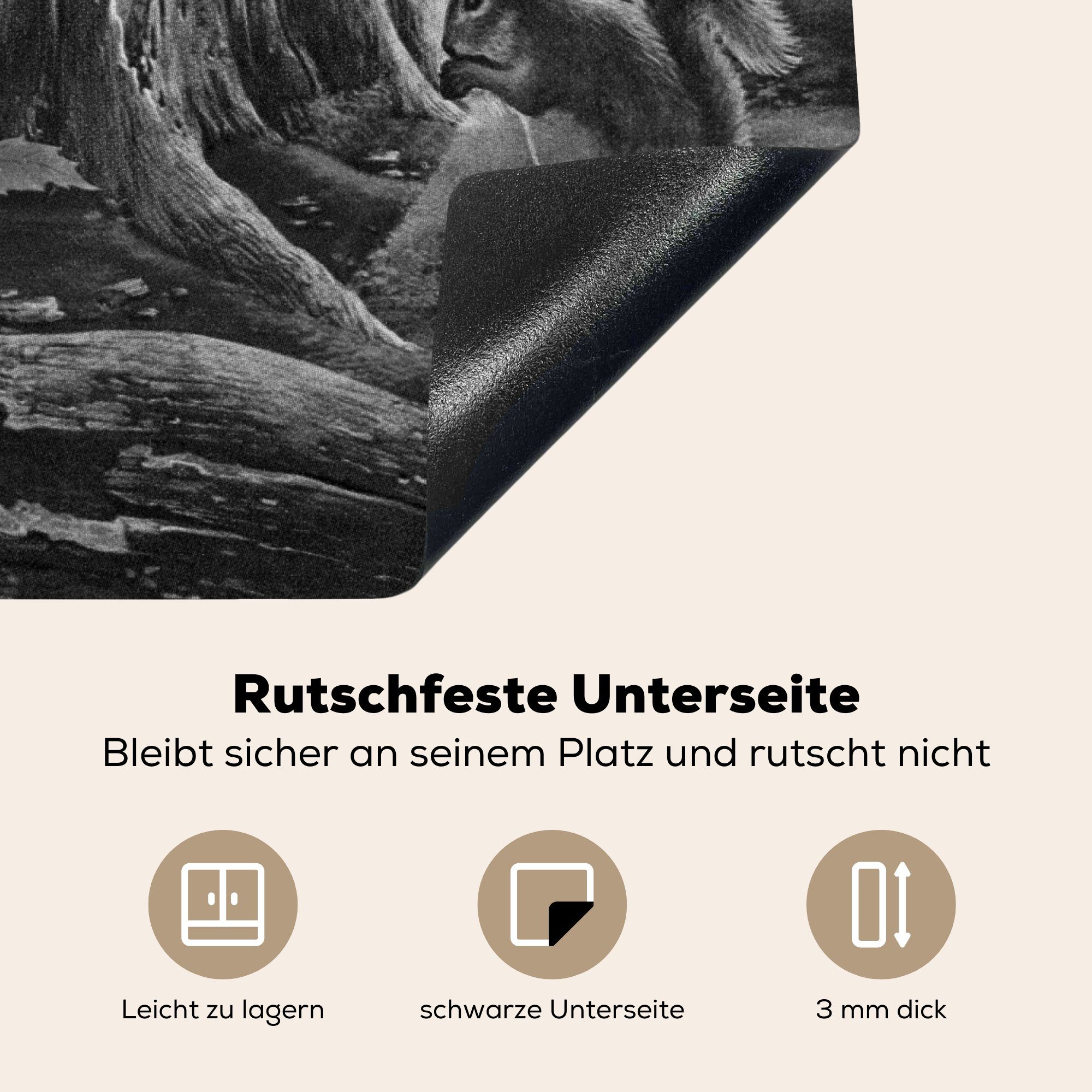 Herdblende-/Abdeckplatte nutzbar, Vinyl, tlg), Baumstamm Ceranfeldabdeckung 60x52 Arbeitsfläche Illustration Eine einem schwarz, MuchoWow Mobile - eines cm, neben Eichhörnchens (1