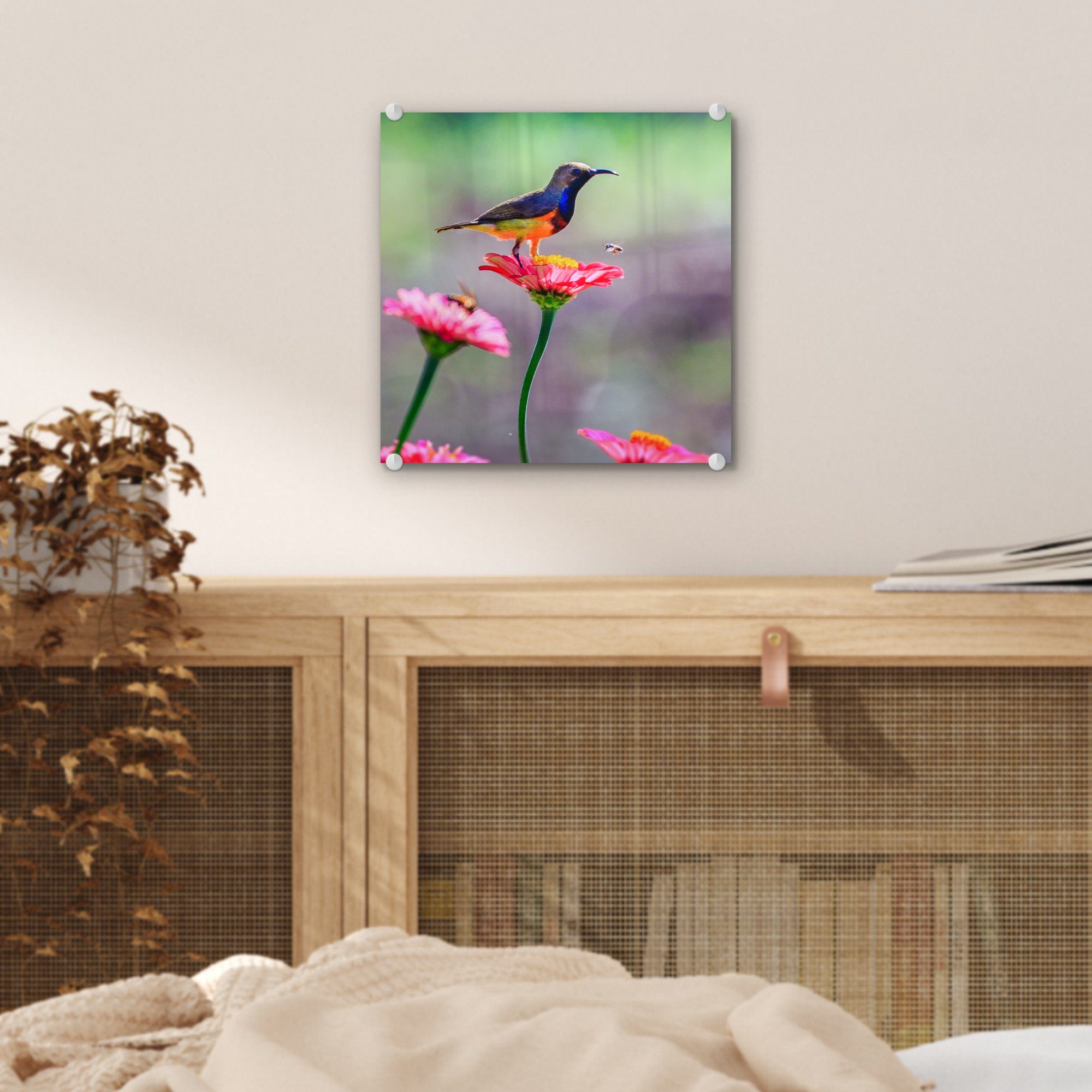 Wandbild auf Blüten, Nahaufnahme Kolibris - (1 Glas MuchoWow St), Bilder - - auf Foto Acrylglasbild Glasbilder eines Glas Wanddekoration rosa auf