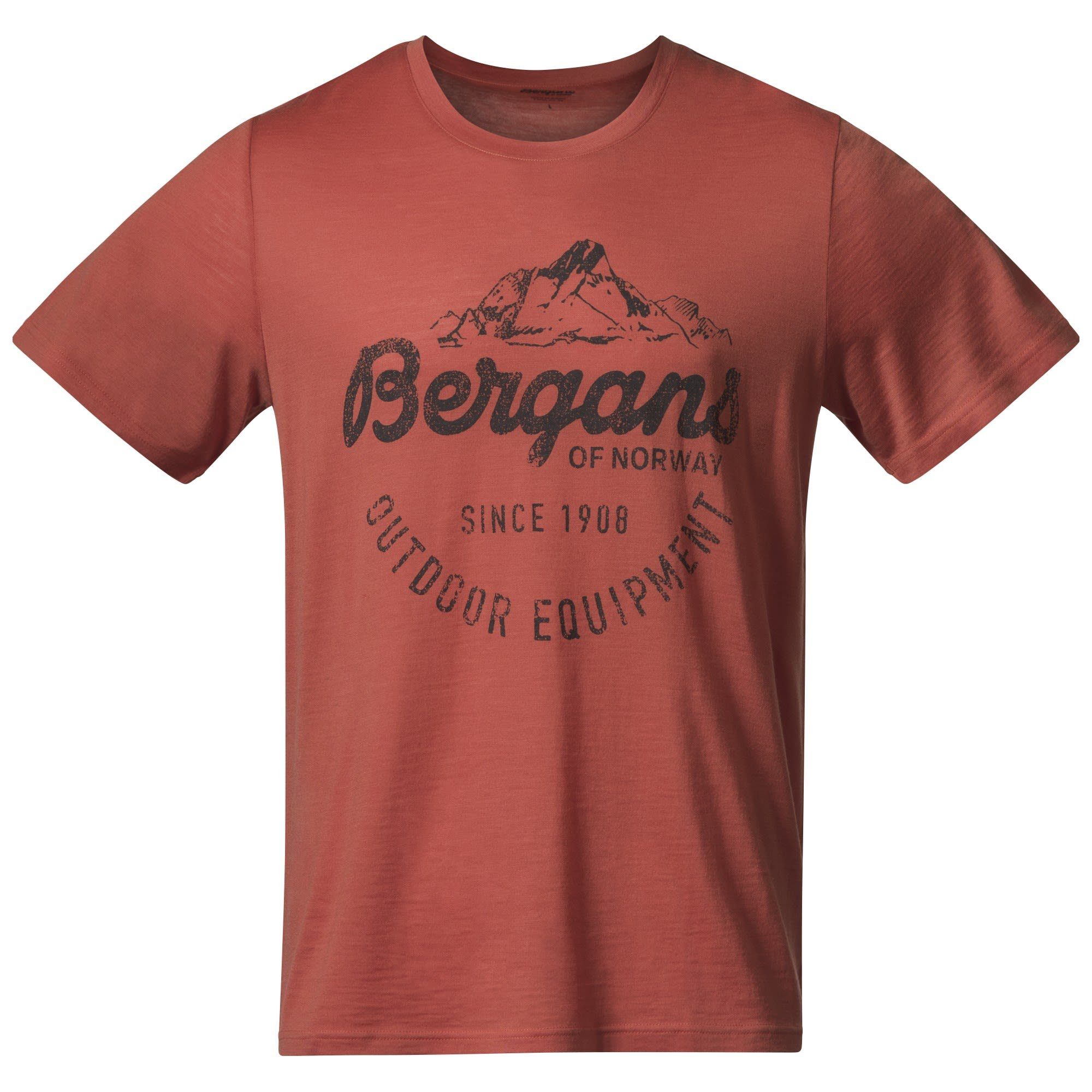Bergans T-Shirt Bergans Graphic Wool M Tee Herren Kurzarm-Shirt Brick - Solid Grey
