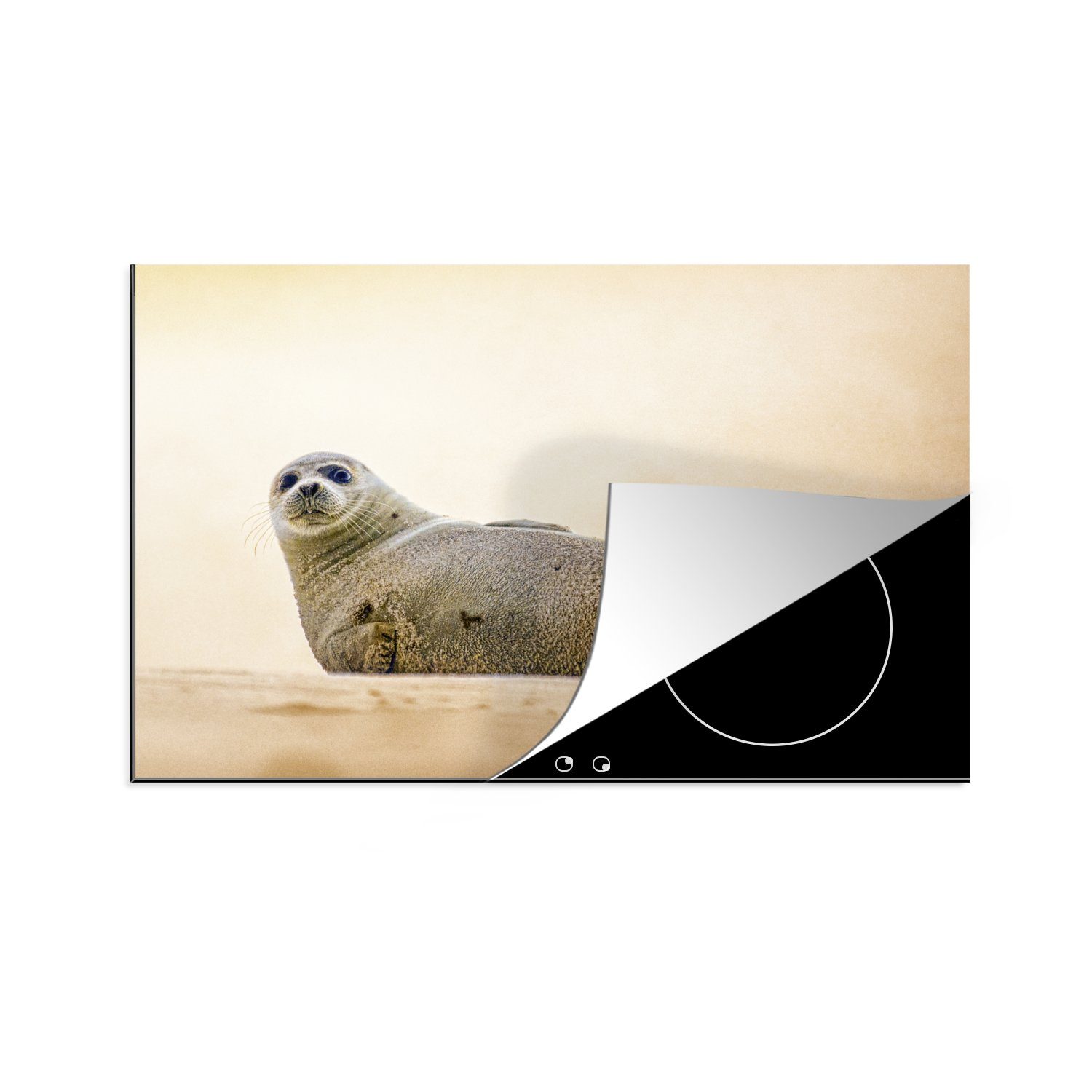 MuchoWow Herdblende-/Abdeckplatte Seal - Strand - Long Island, Vinyl, (1 tlg), 81x52 cm, Induktionskochfeld Schutz für die küche, Ceranfeldabdeckung