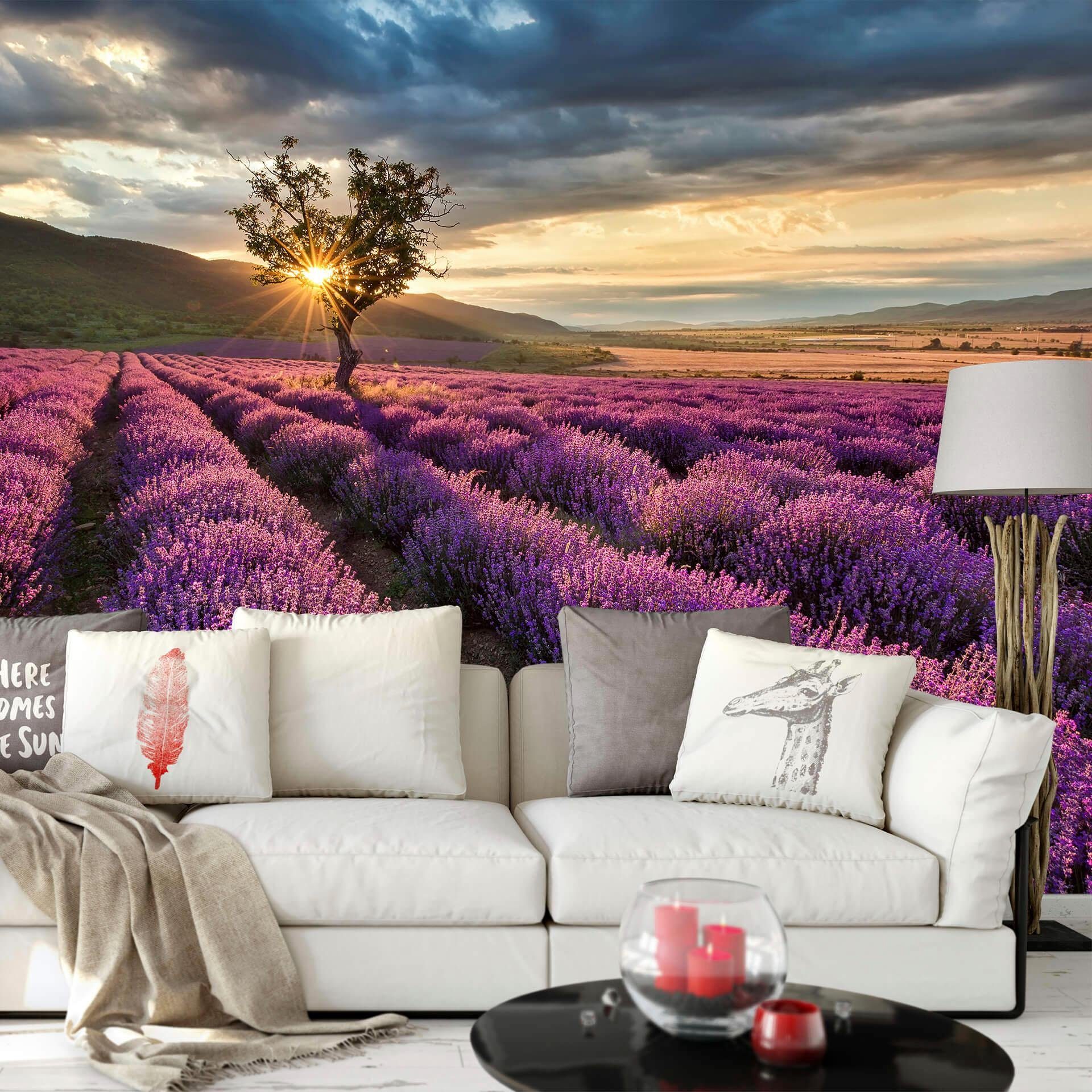Wall-Art Vliestapete Provence der in Lavendelblüte
