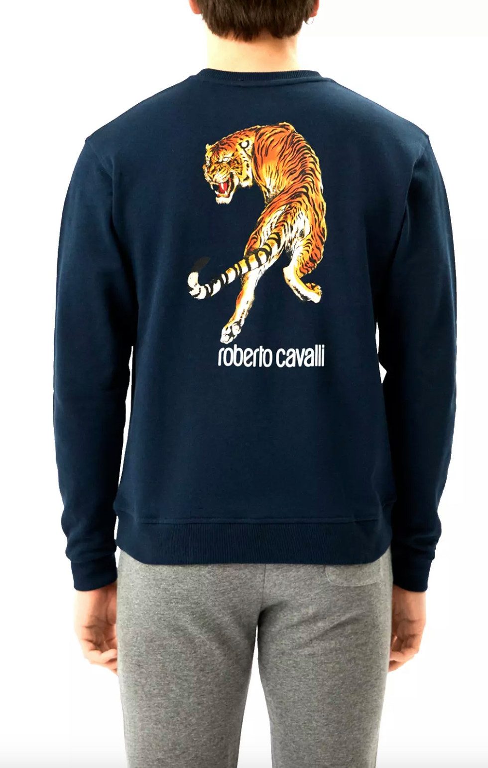 roberto cavalli Sweatshirt Firenze Tiger Sweatshirt günstig online kaufen