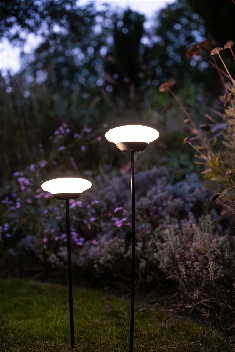 lumix LED Solarleuchte LUMIX Solar Flower günstig online kaufen