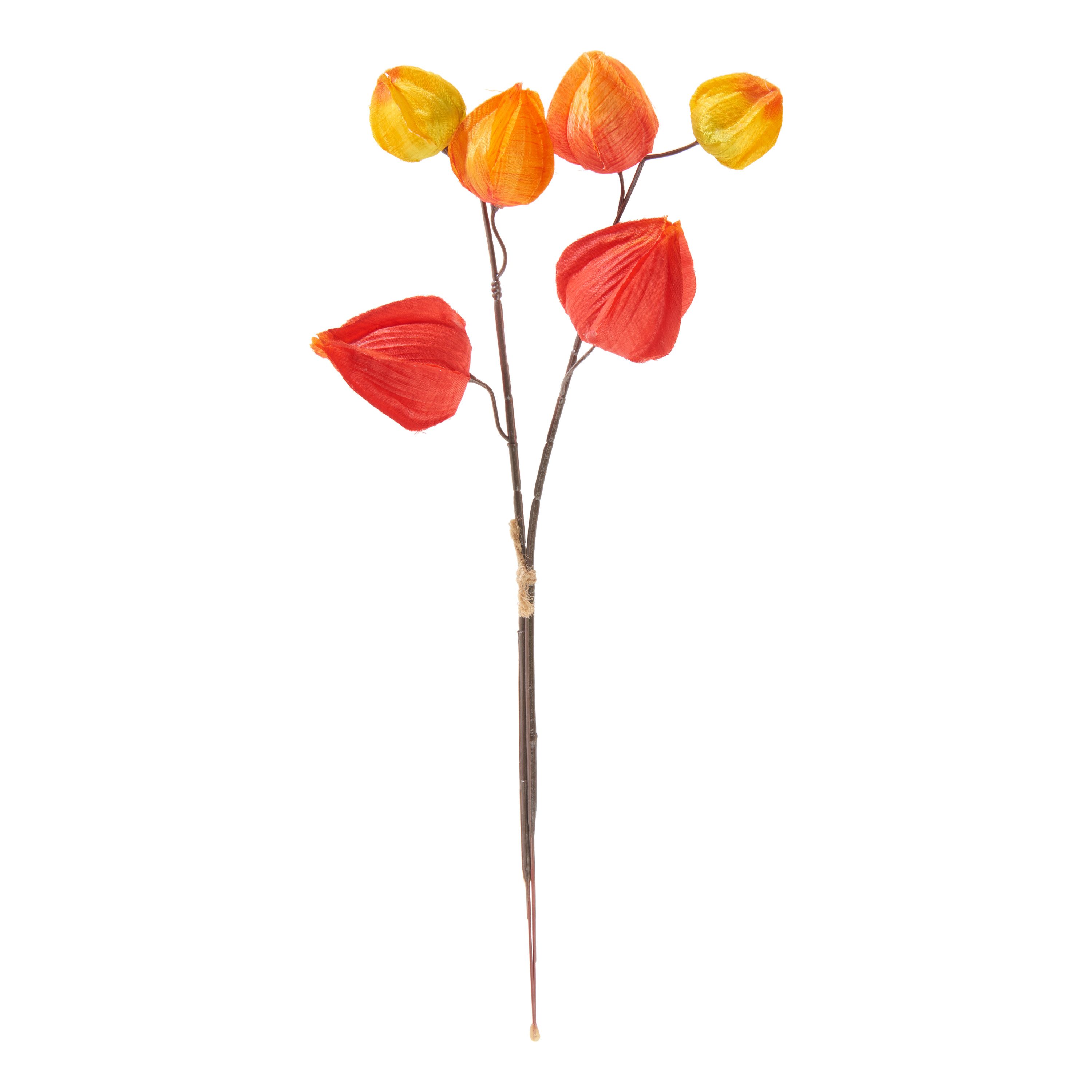 Kunstzweig Physalis Zweig, DPI, 6 Lampionblüten, L 32 cm günstig online kaufen